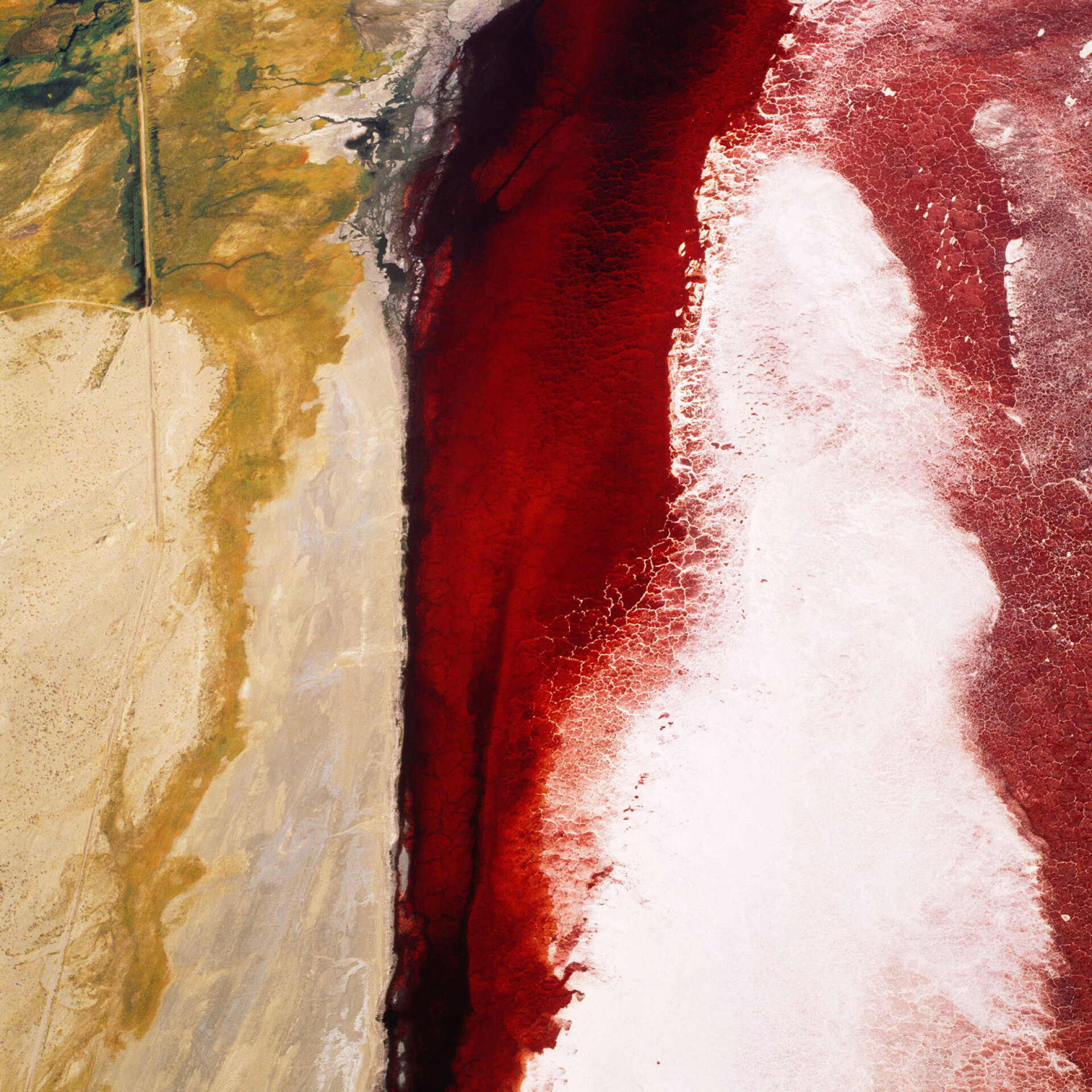 Ντέιβιντ Μέιζελ