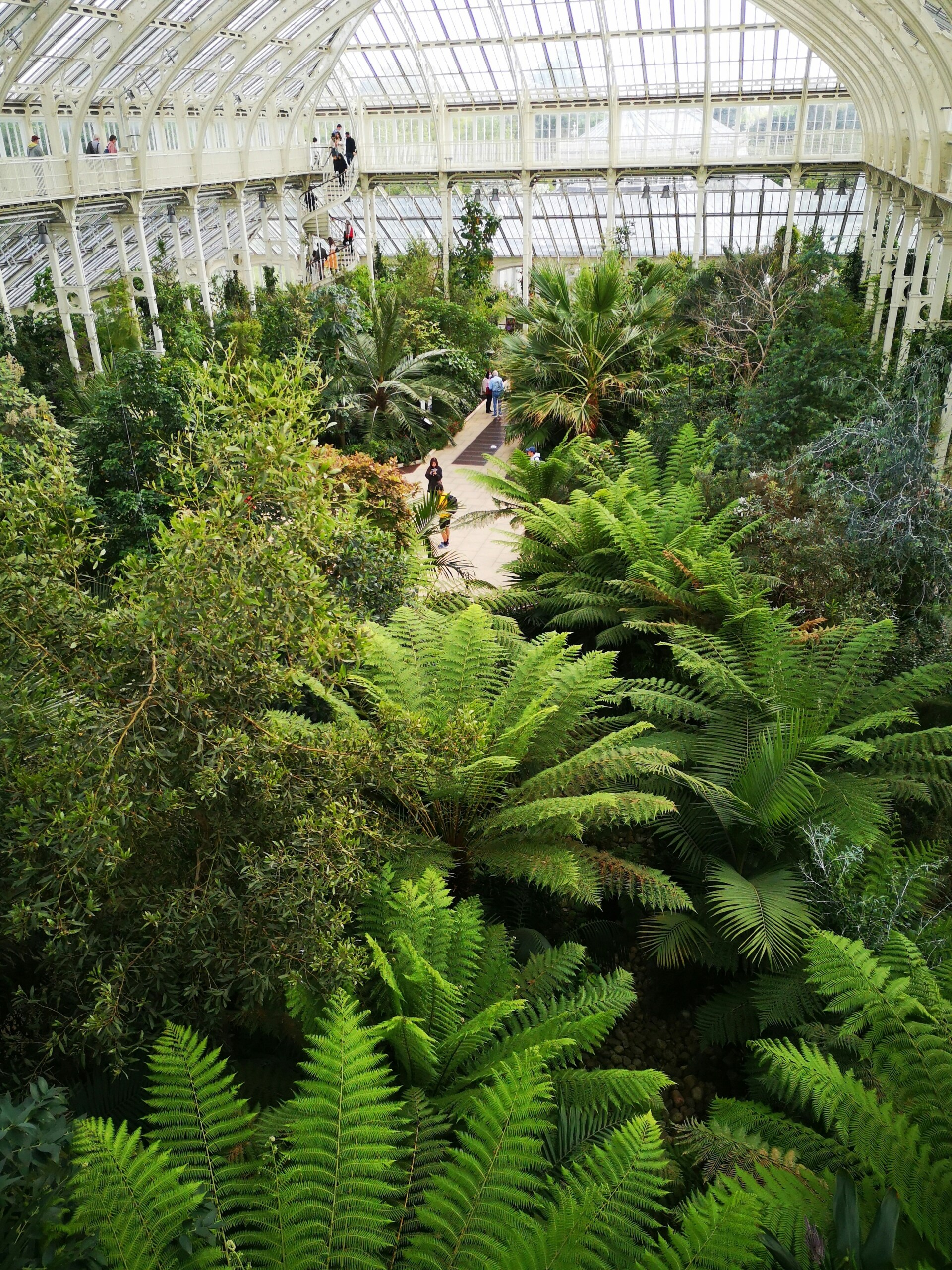 Kew Gardens 