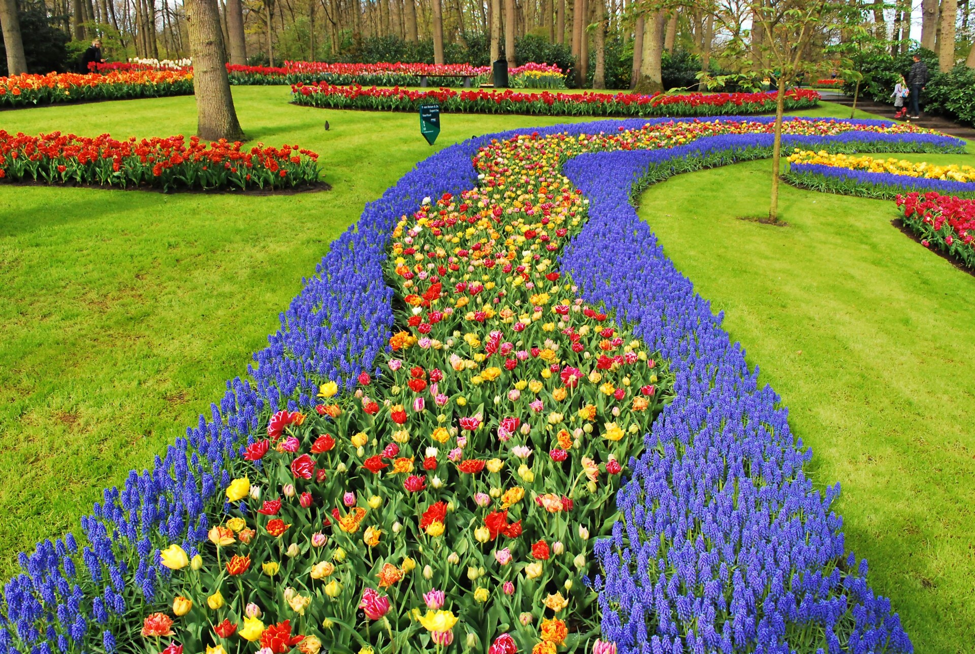 Keukenhof – Λίσε, Ολλανδία