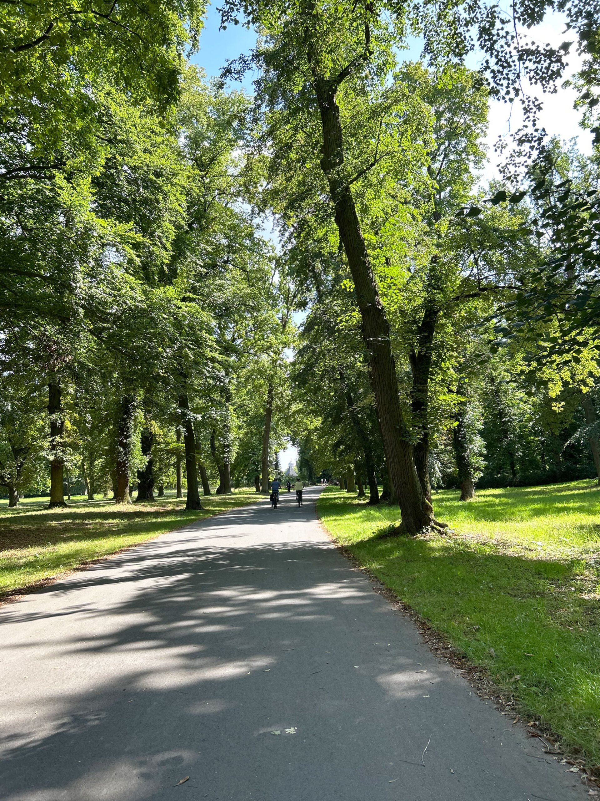 Περπατώντας στα μονοπάτια του Πότσνταμ, κάτω από τις σκιερές δεντροστοιχίες