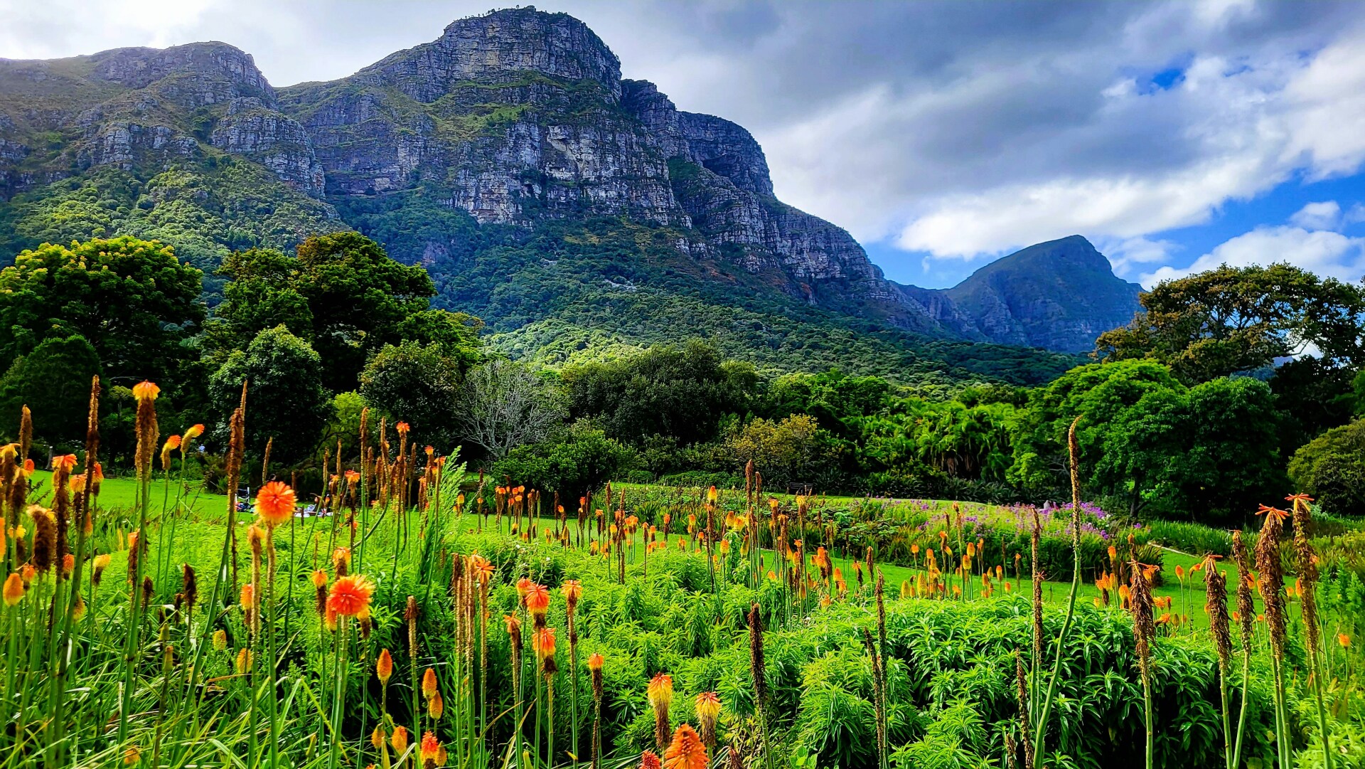 Kirstenbosch National Botanical Garden