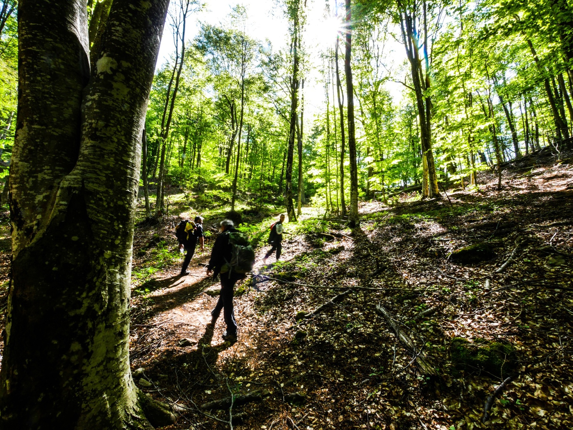 Παρανέστι: Μια διαδρομή και τέσσερις υδάτινοι τόποι