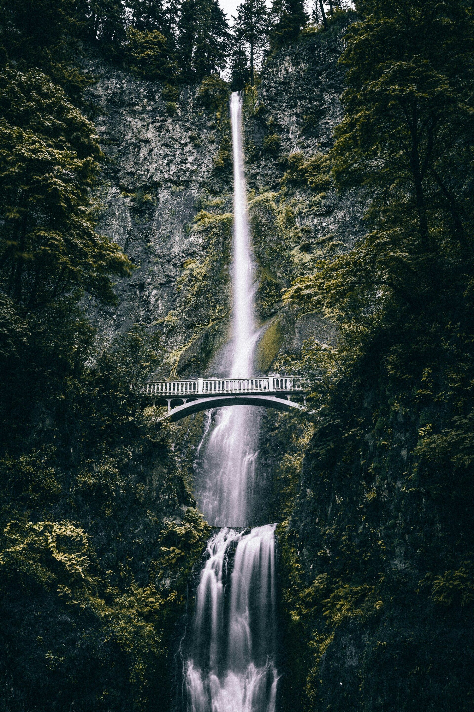 Multnomah Falls bridge