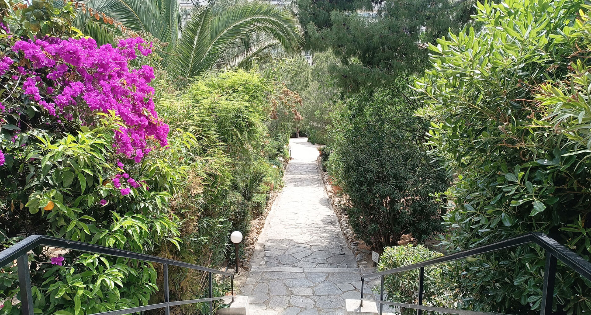 Κήπος της Βρετανικής Σχολής Αθηνών