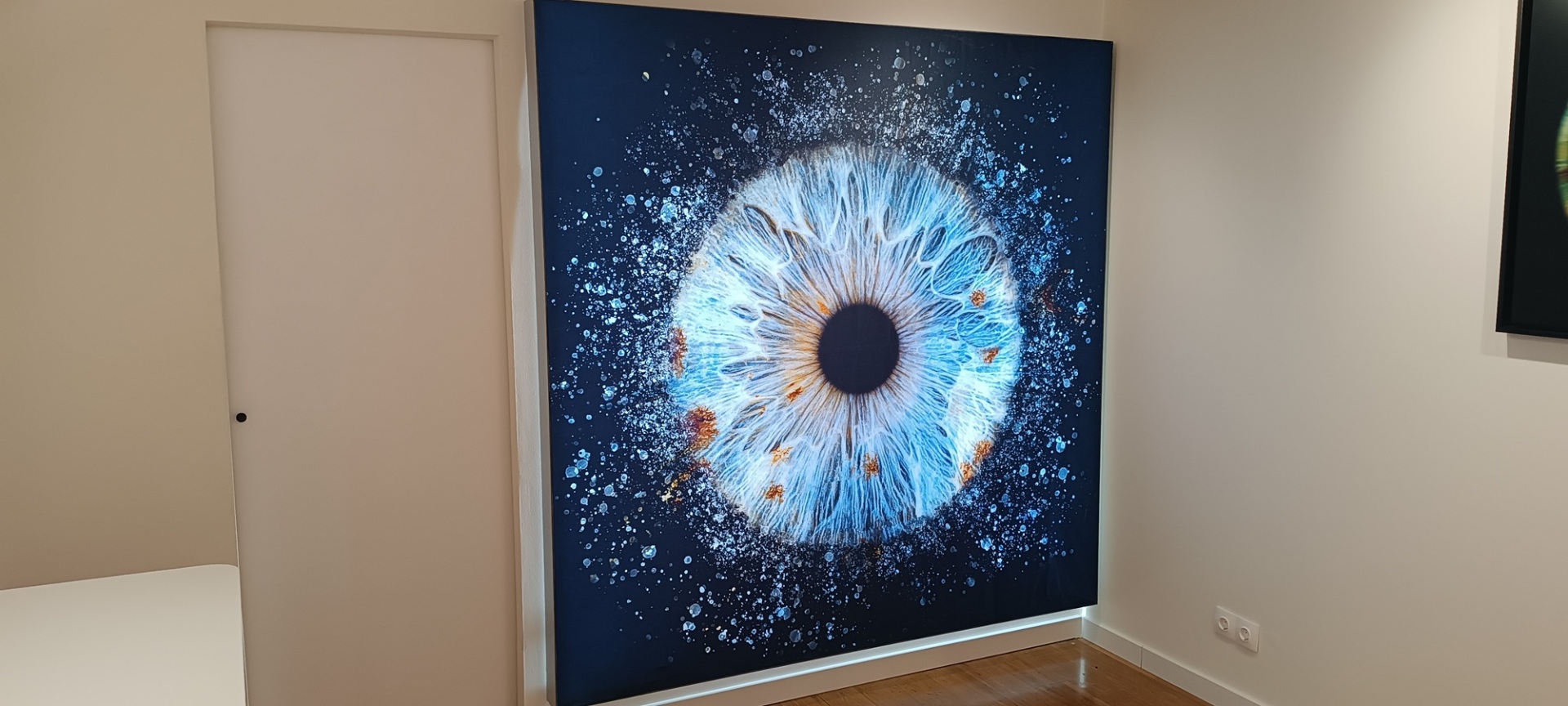 IrisGalerie: Όταν τα μάτια μας μετατρέπονται σε έργα τέχνης