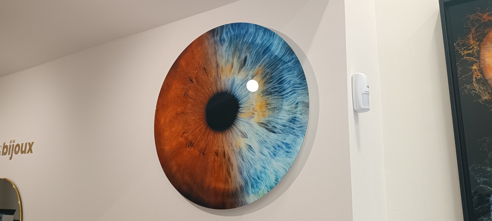 IrisGalerie: Όταν τα μάτια μας μετατρέπονται σε έργα τέχνης