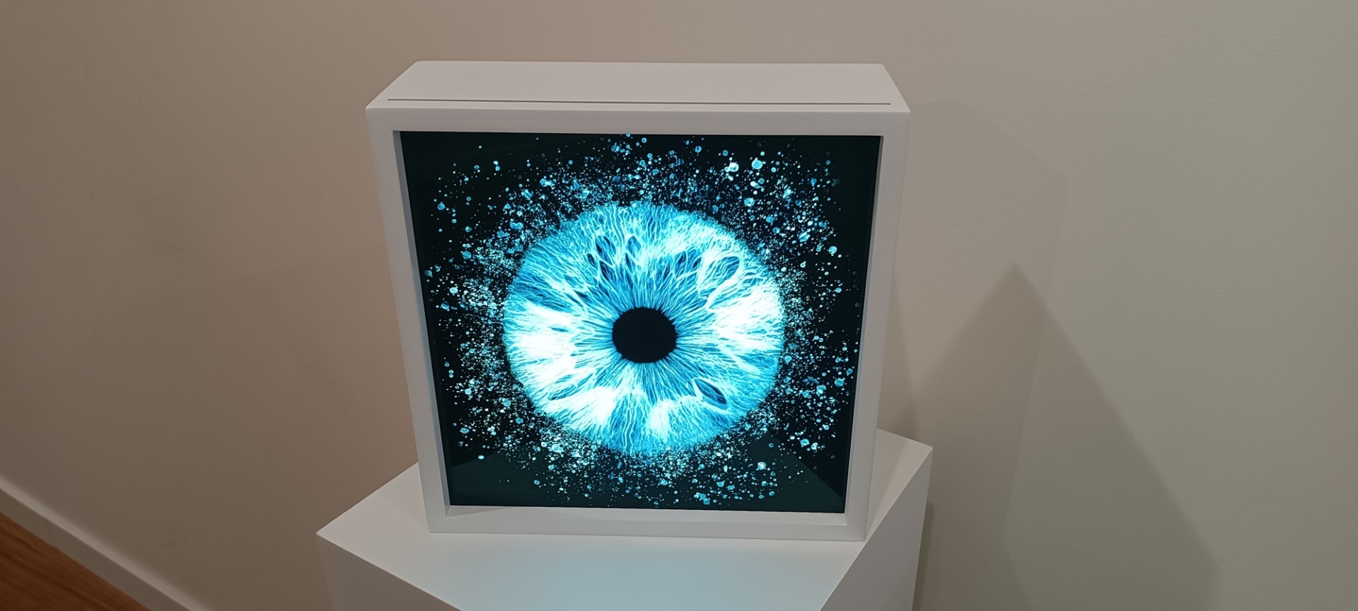 IrisGalerie: Όταν τα μάτια μας μετατρέπονται σε έργα τέχνης