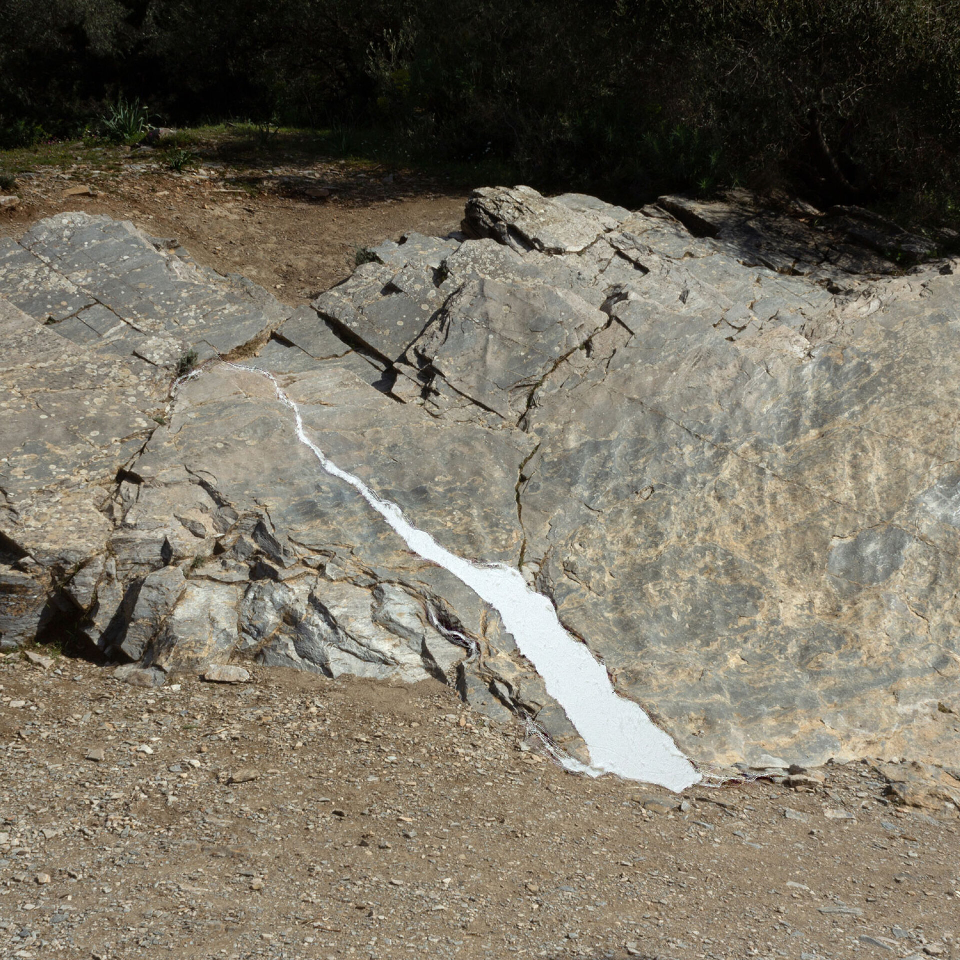 Κατερίνα Διγώνη
