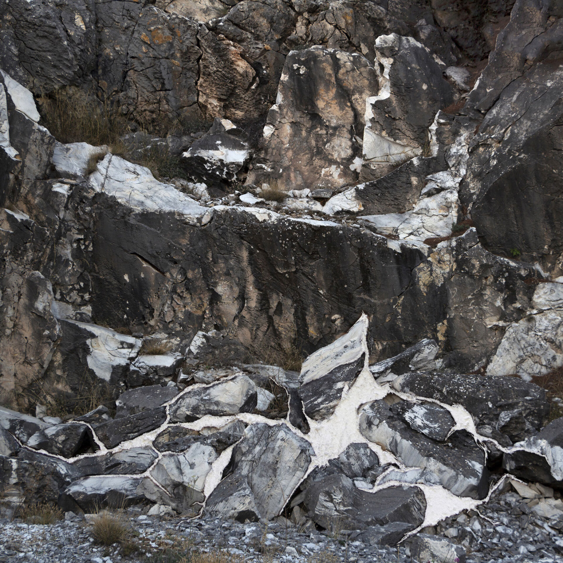 Κατερίνα Διγώνη