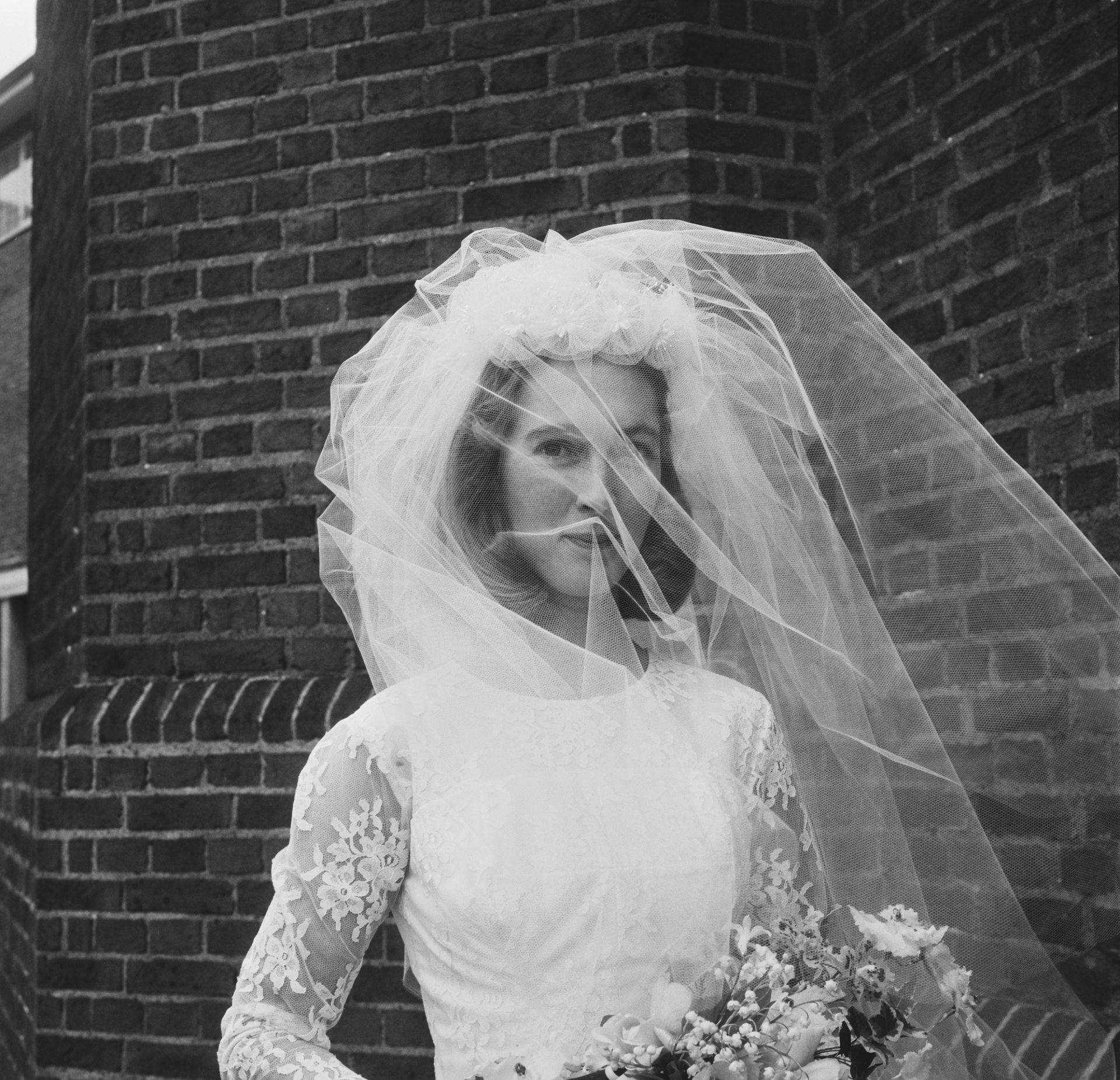 Τζέιν Γκούντολ: Η ζωή της γυναίκας που αγάπησε και μελέτησε τους χιμπαντζήδες