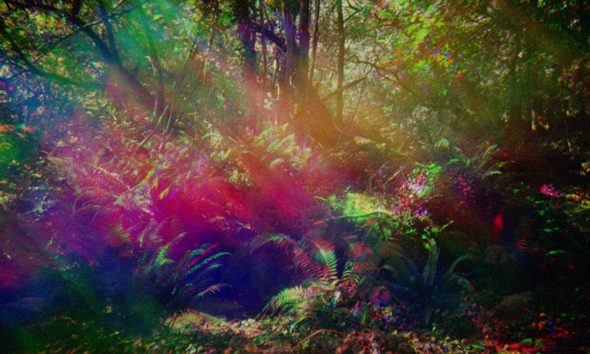 Look Then Below, Ben Rivers, 2019. Στιγμιότυπο από την ταινία. Ευγενική παραχώρηση του Ben Rivers και της Γκαλερί Kate MacGarry