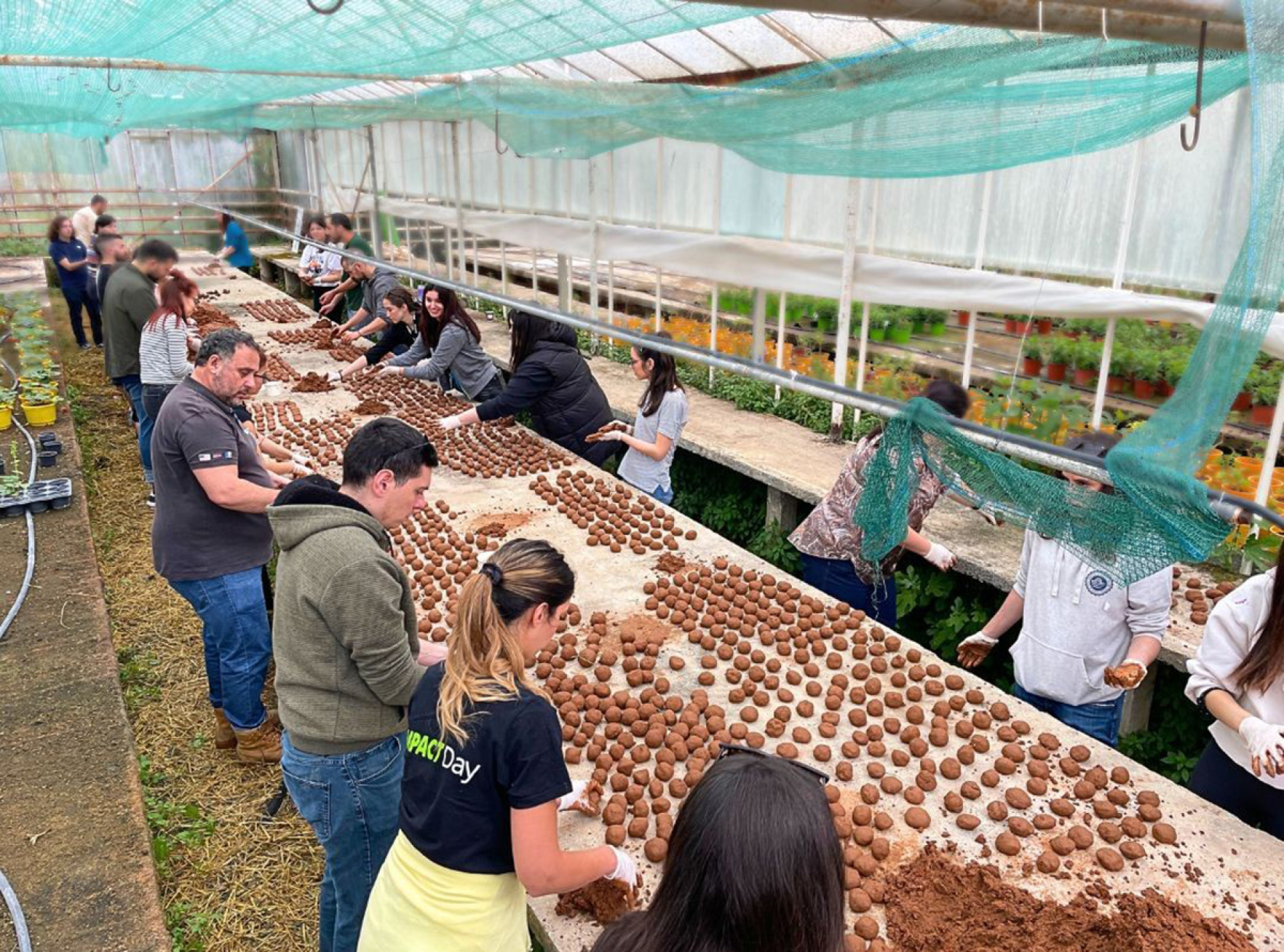 Seed Bombing © MAMAGEA 