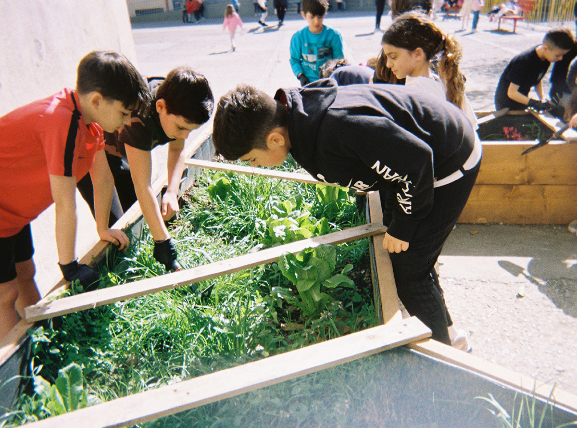 Wonder City © MAMAGEA