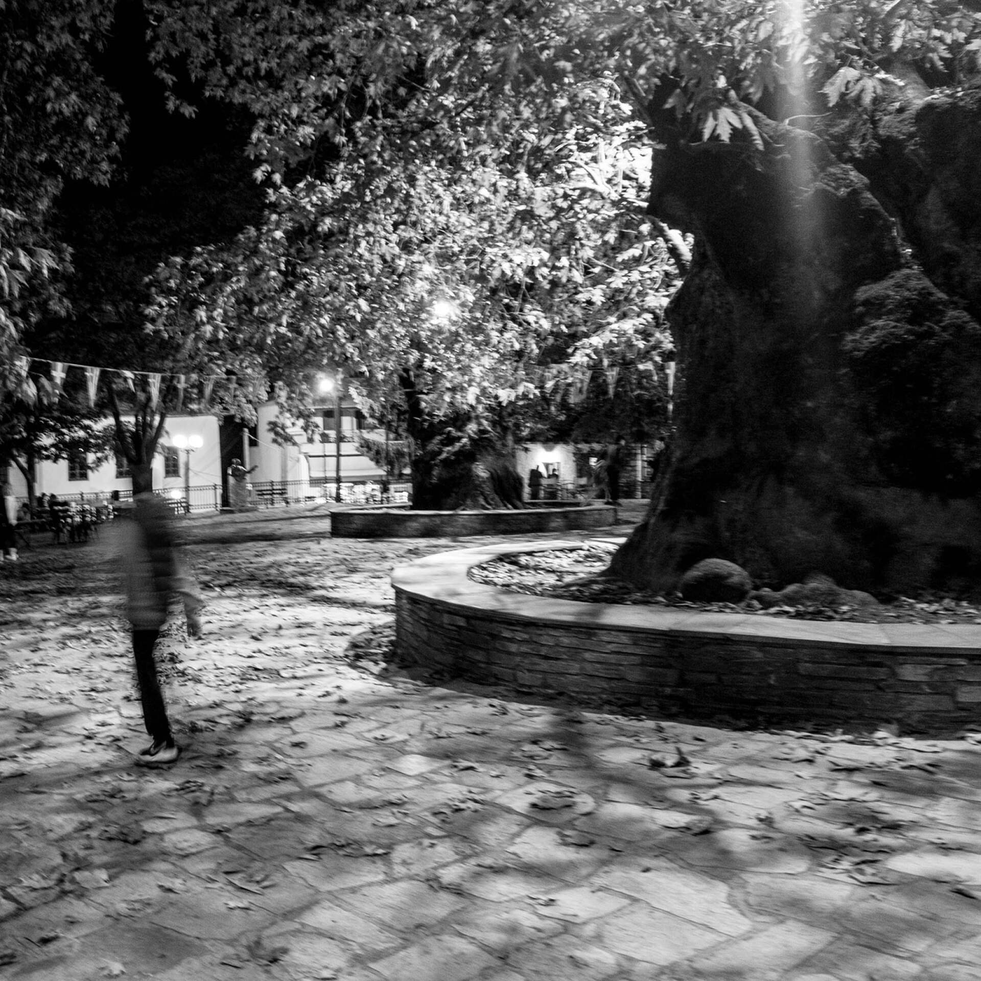 Σωκράτης Ταταρίδης: Το Νηπενθές και η τέχνη ως ίαση