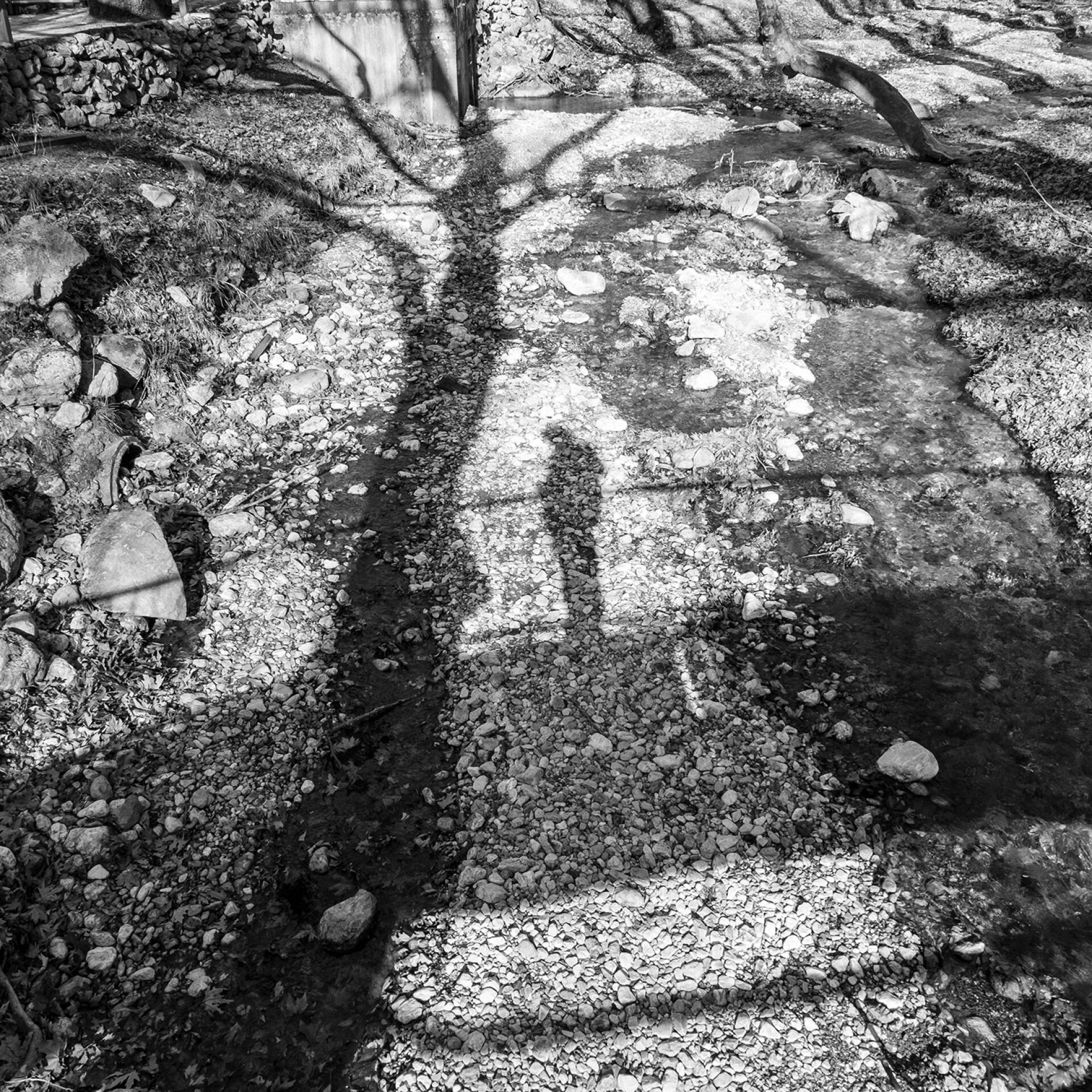 Σωκράτης Ταταρίδης: Το Νηπενθές και η τέχνη ως ίαση