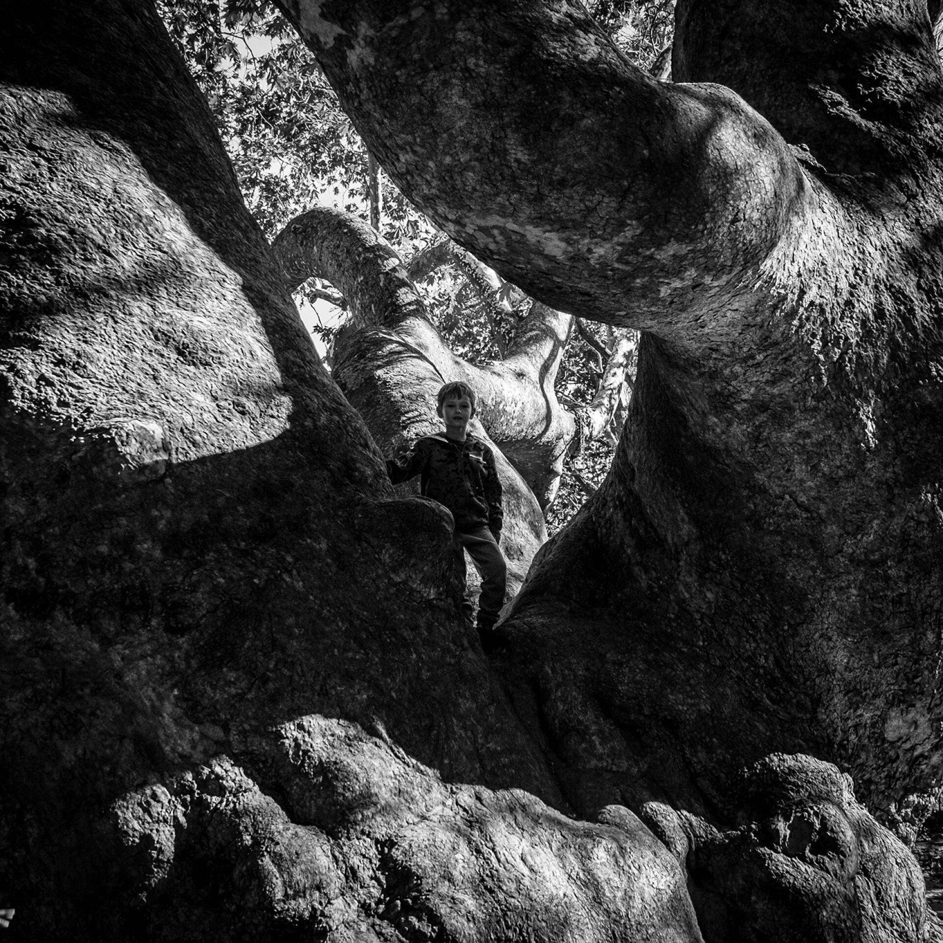 Σωκράτης Ταταρίδης: Το Νηπενθές και η τέχνη ως ίαση