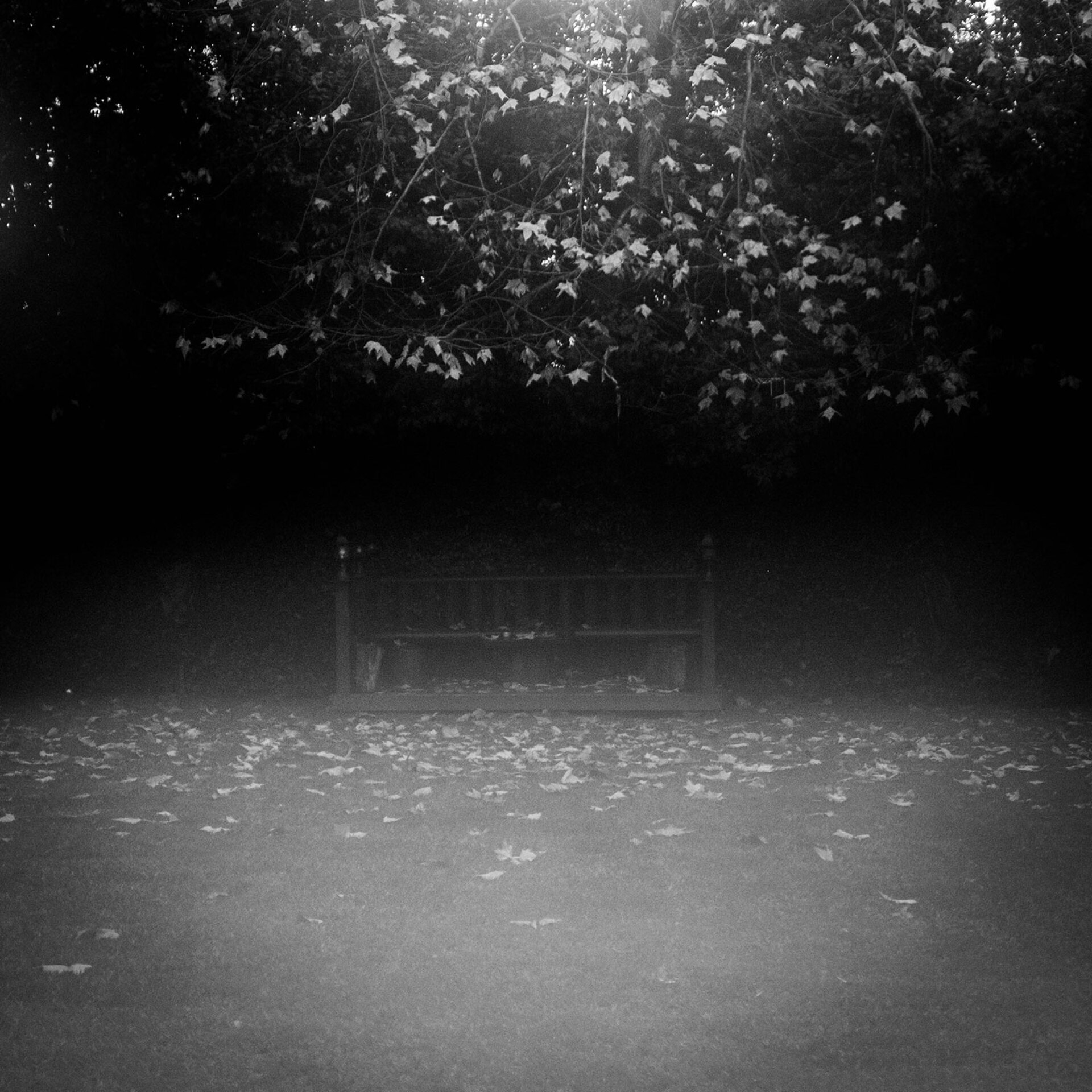 Σωκράτης Ταταρίδης: Το Νηπενθές και η τέχνη ως ίαση