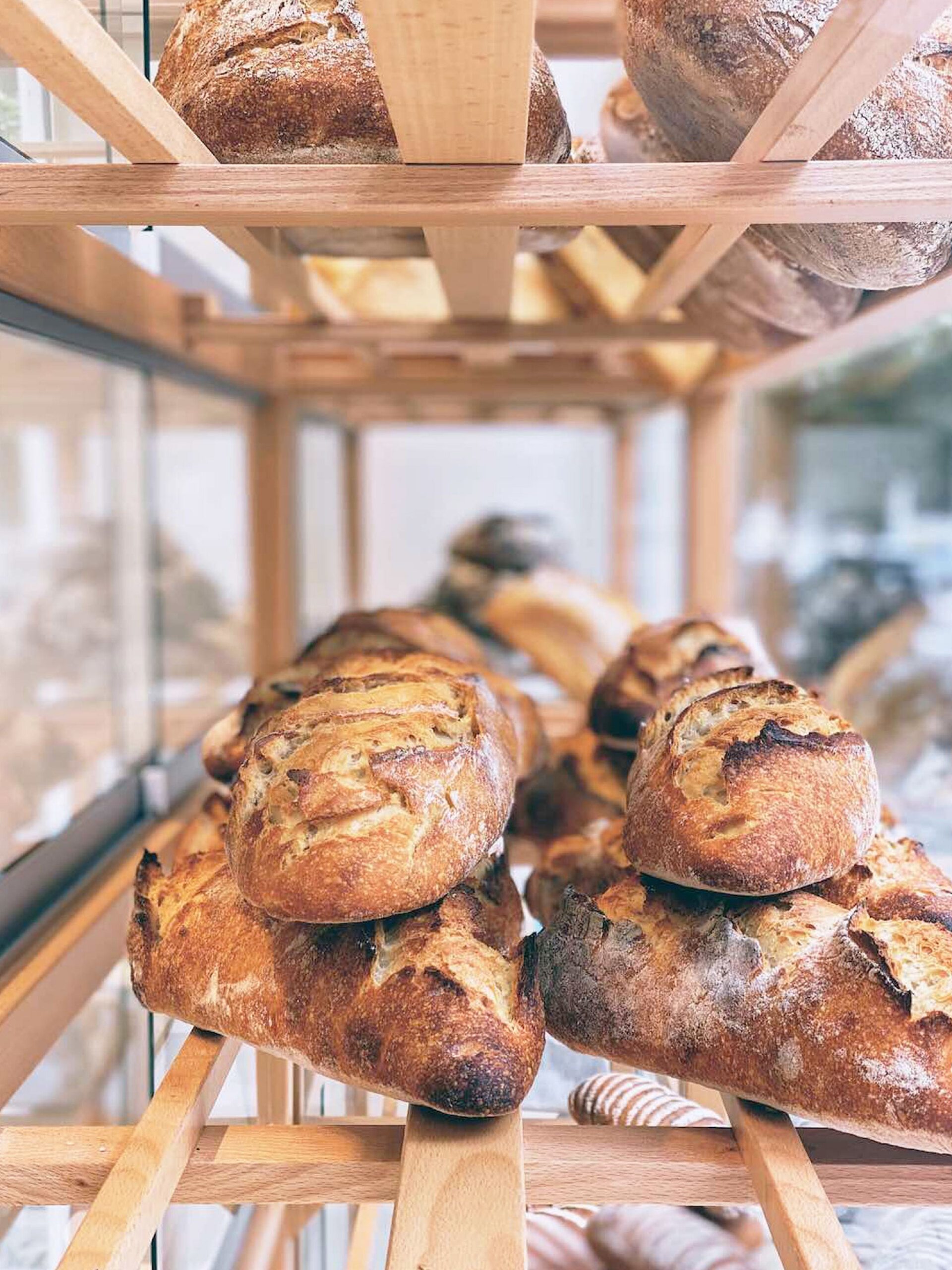 Το Τρομερό Παιδί | Στέφανος Λιβάνιος