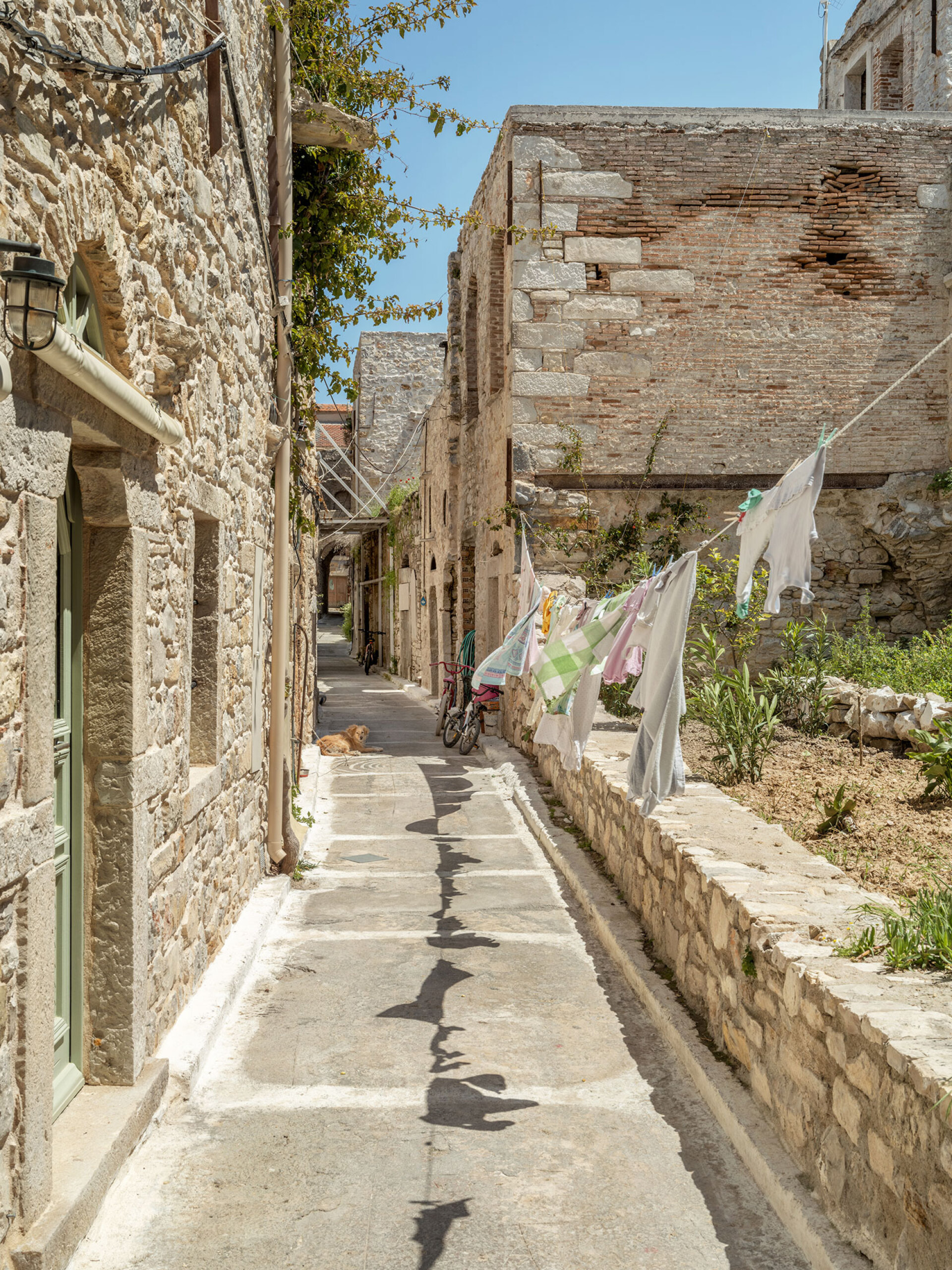 Γιώργης Γερόλυμπος | Μαστιχοχώρι, Καλαμωτή της Χίου