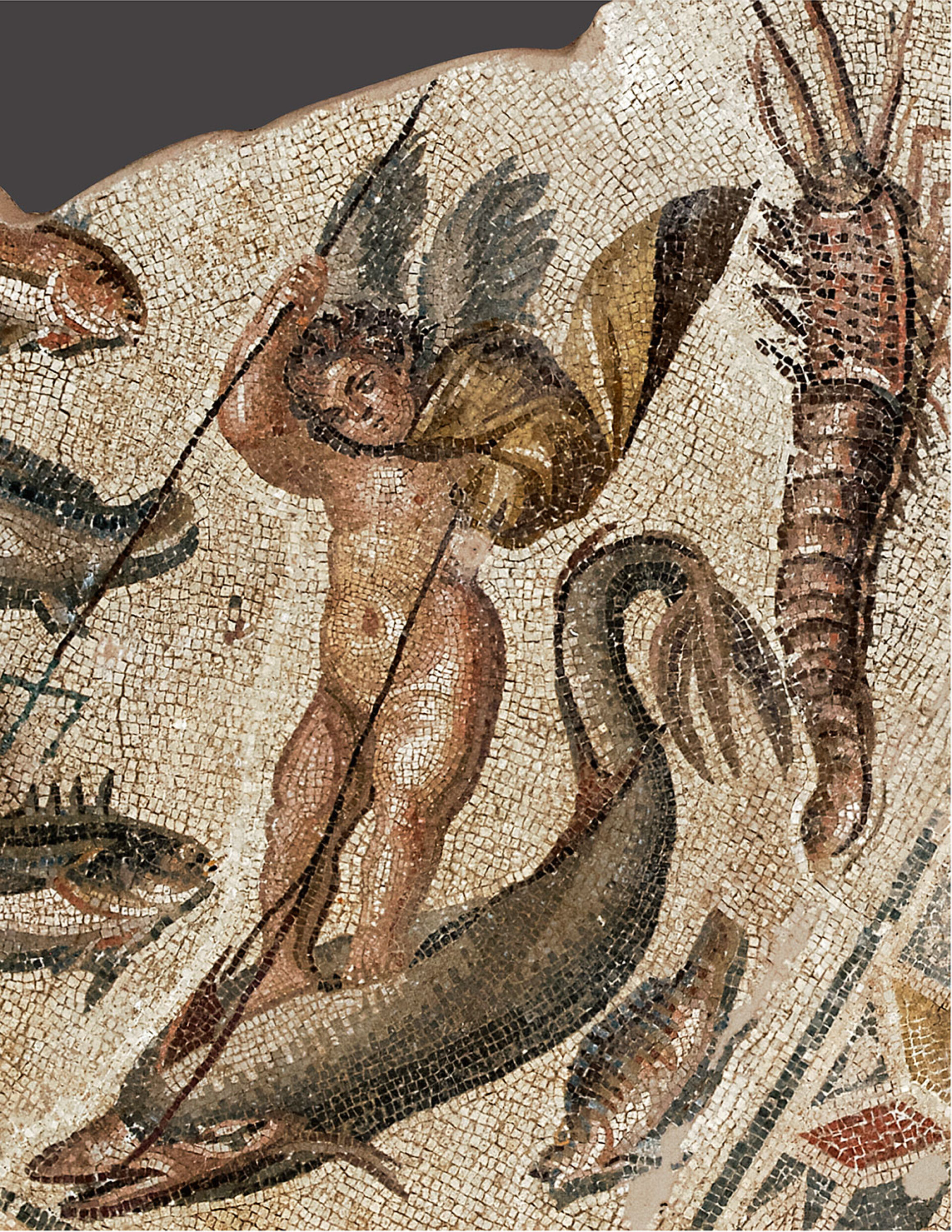 Εξαιρετικής τέχνης ψηφιδωτό δάπεδο από αίθριο ρωμαϊκής οικίας, με απεικόνιση θαλάσσιου κόσμου και με Ερωτιδείς ως αλιείς ψυχών στην υπηρεσία της Αφροδίτης. Πάτρα, 2ος-3ος αι. μ.Χ. © Lamda Development