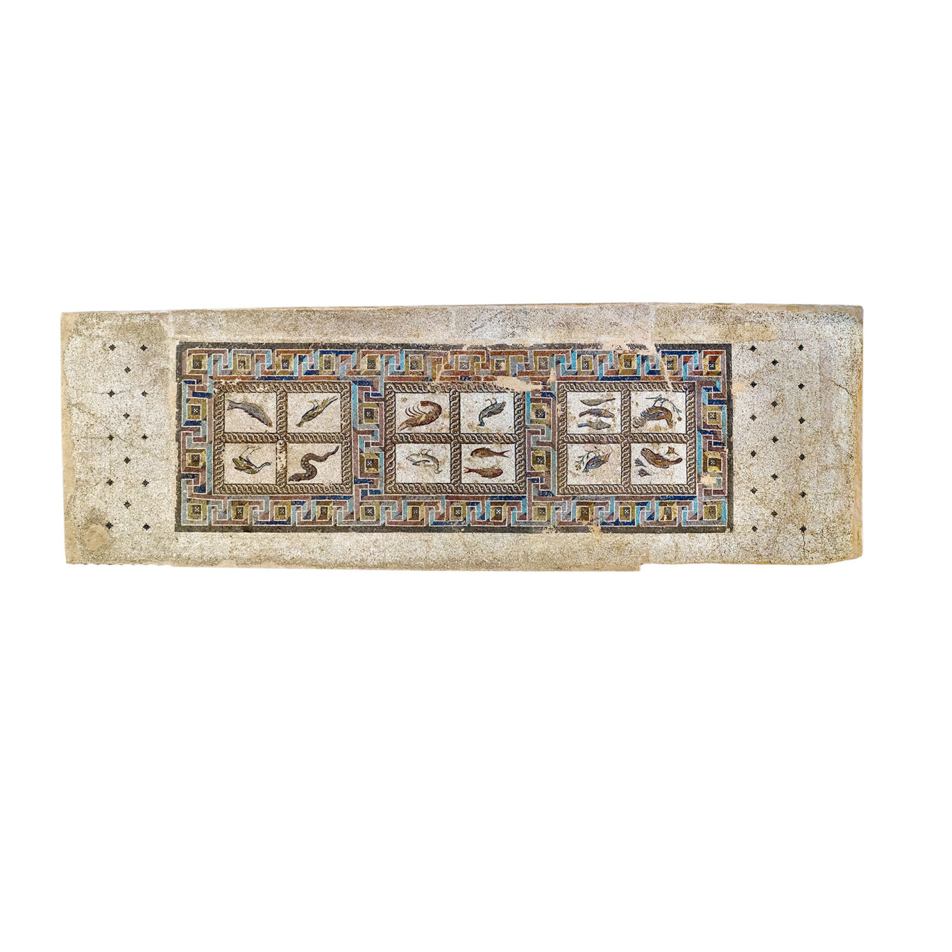 Ψηφιδωτό δάπεδο με πολύχρωμο μαίανδρο που δημιουργεί τρία πλαίσια. Στο καθένα εικονίζονται ψάρια, οστρακοειδή και πτηνά που αποδίδονται με ιδιαίτερες λεπτομέρειες χάρη στη χρήση μικρών ψηφίδων. Πάτρα, 3ος αι. μ.Χ. © Lamda Development