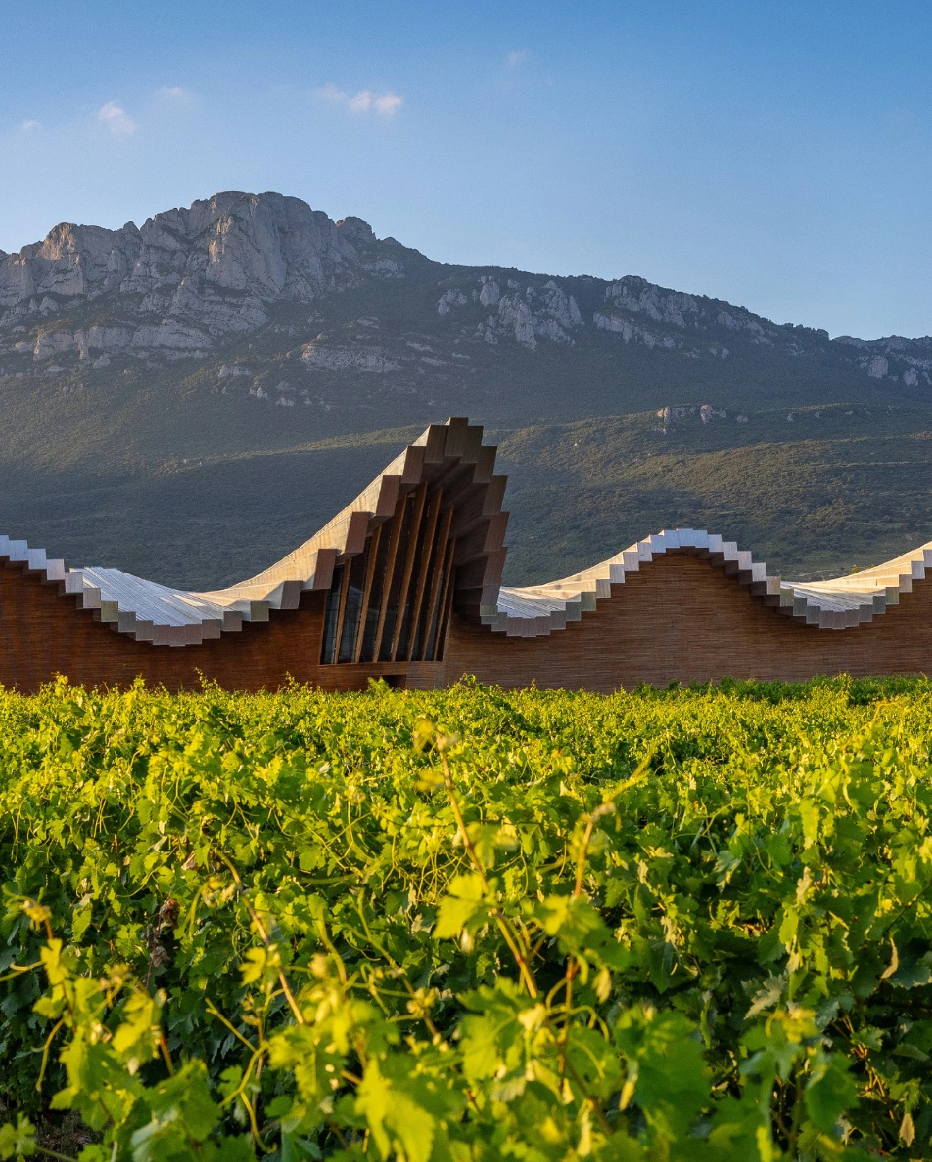 a_landmark_of_rioja___ranked_no_4_among_