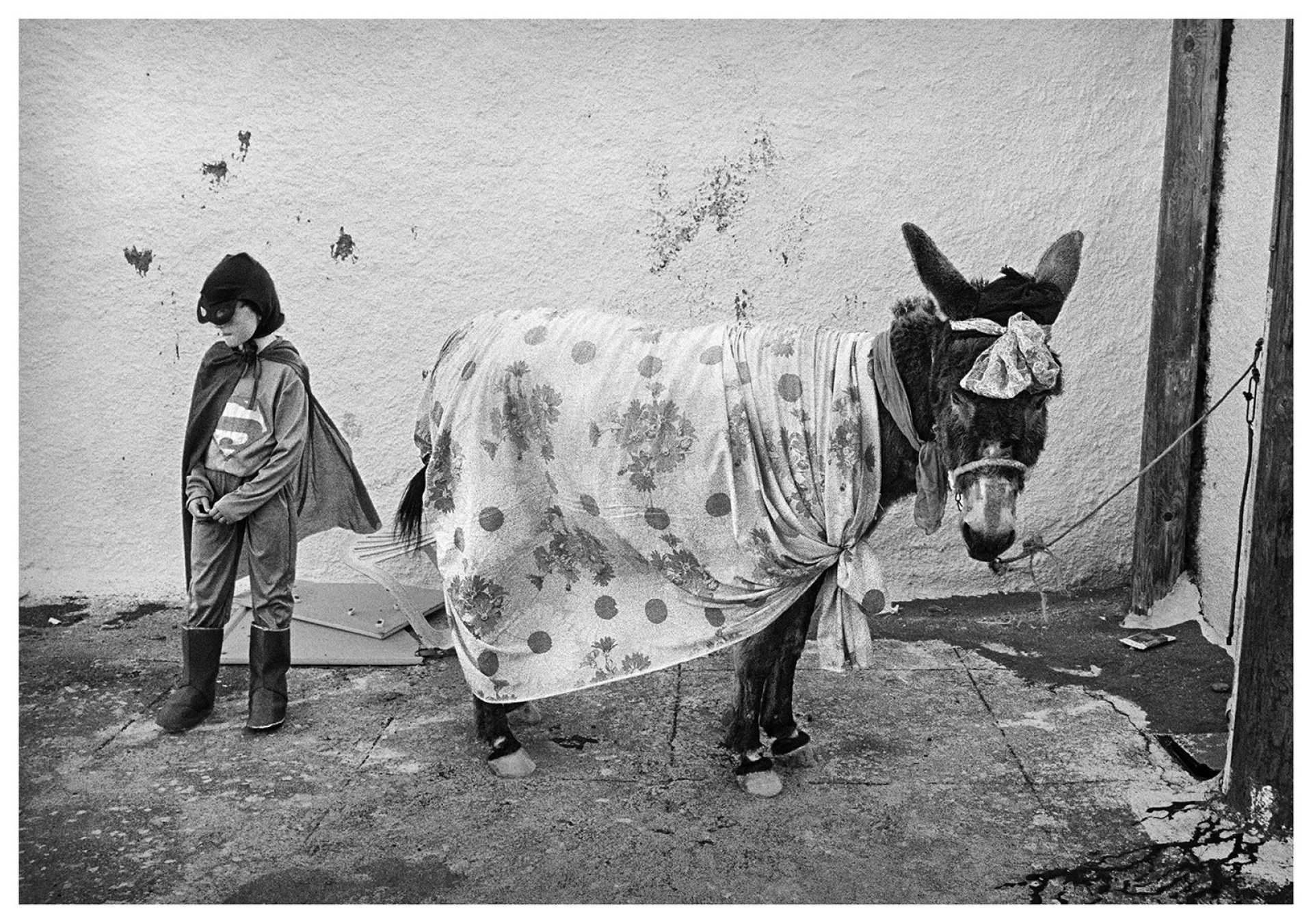 Απογραφή στο τέλος του χρόνου: Ο Περικλής Αλκίδης φωτογραφίζει αυτά που μένουν