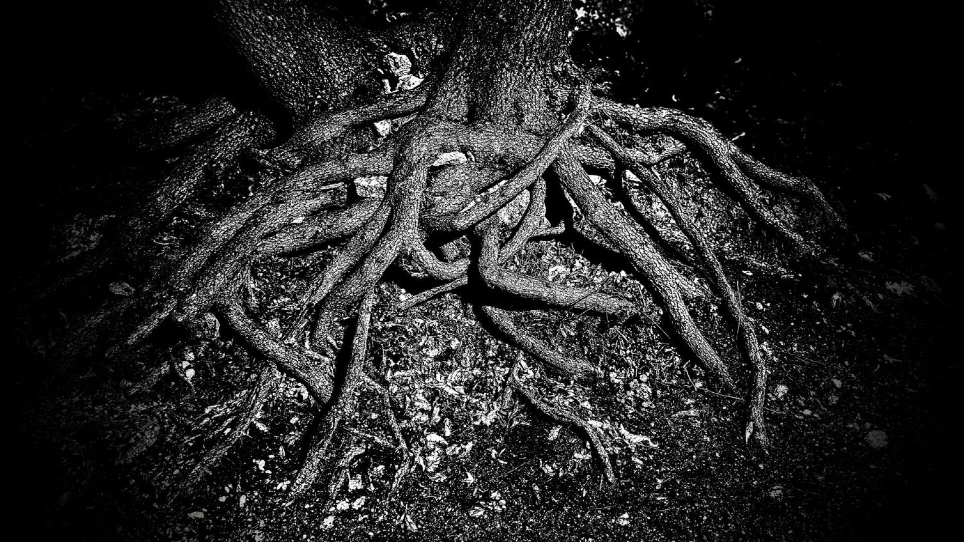 Τίμος Λύτρας - Is this Your Dream? Ατομική έκθεση φωτογραφίας στην iFocus Photo Gallery