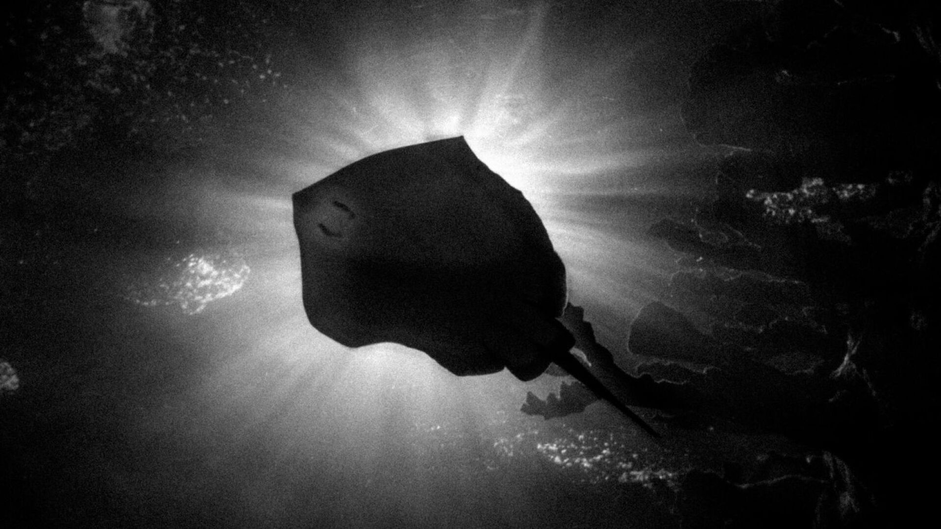 Τίμος Λύτρας - Is this Your Dream? Ατομική έκθεση φωτογραφίας στην iFocus Photo Gallery