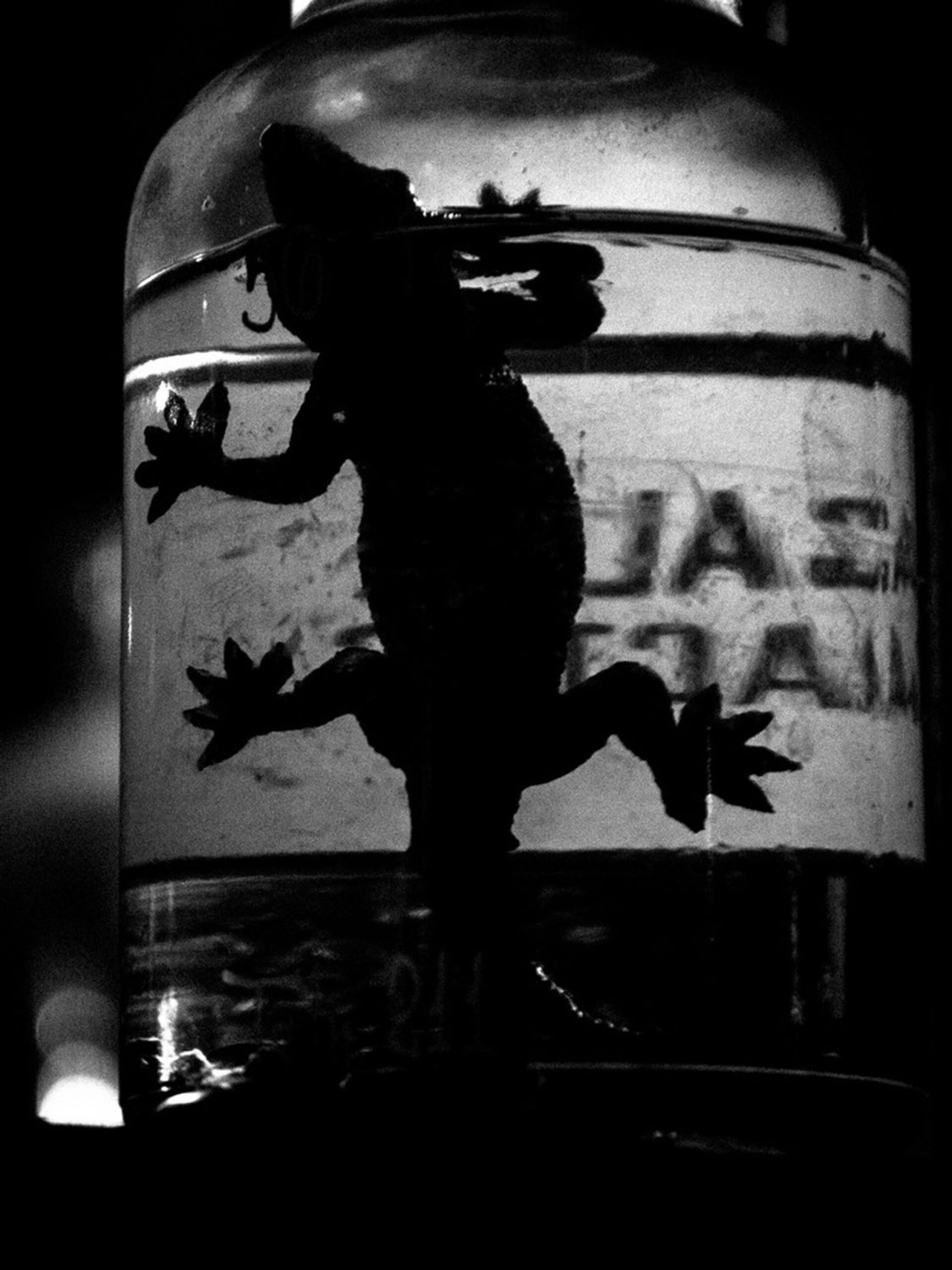 Τίμος Λύτρας - Is this Your Dream? Ατομική έκθεση φωτογραφίας στην iFocus Photo Gallery