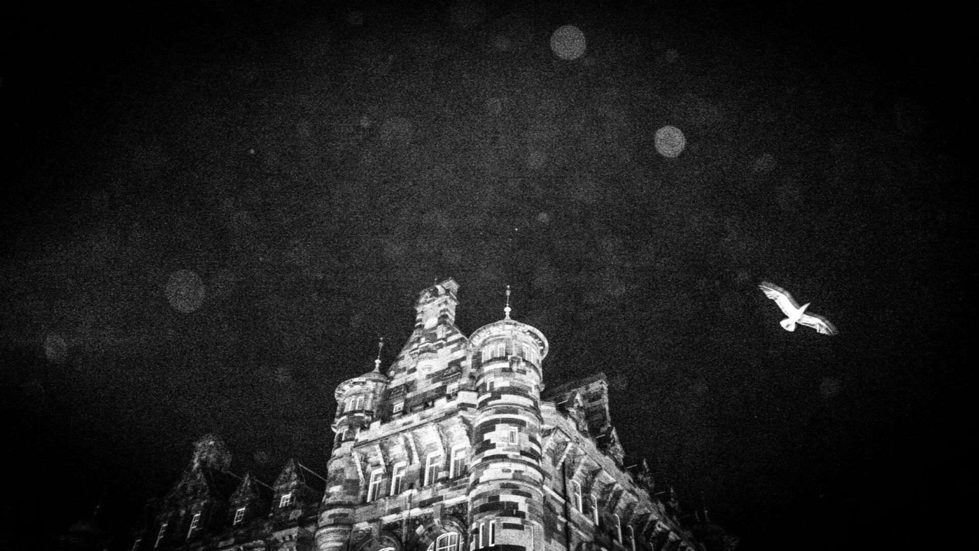 Τίμος Λύτρας - Is this Your Dream? Ατομική έκθεση φωτογραφίας στην iFocus Photo Gallery