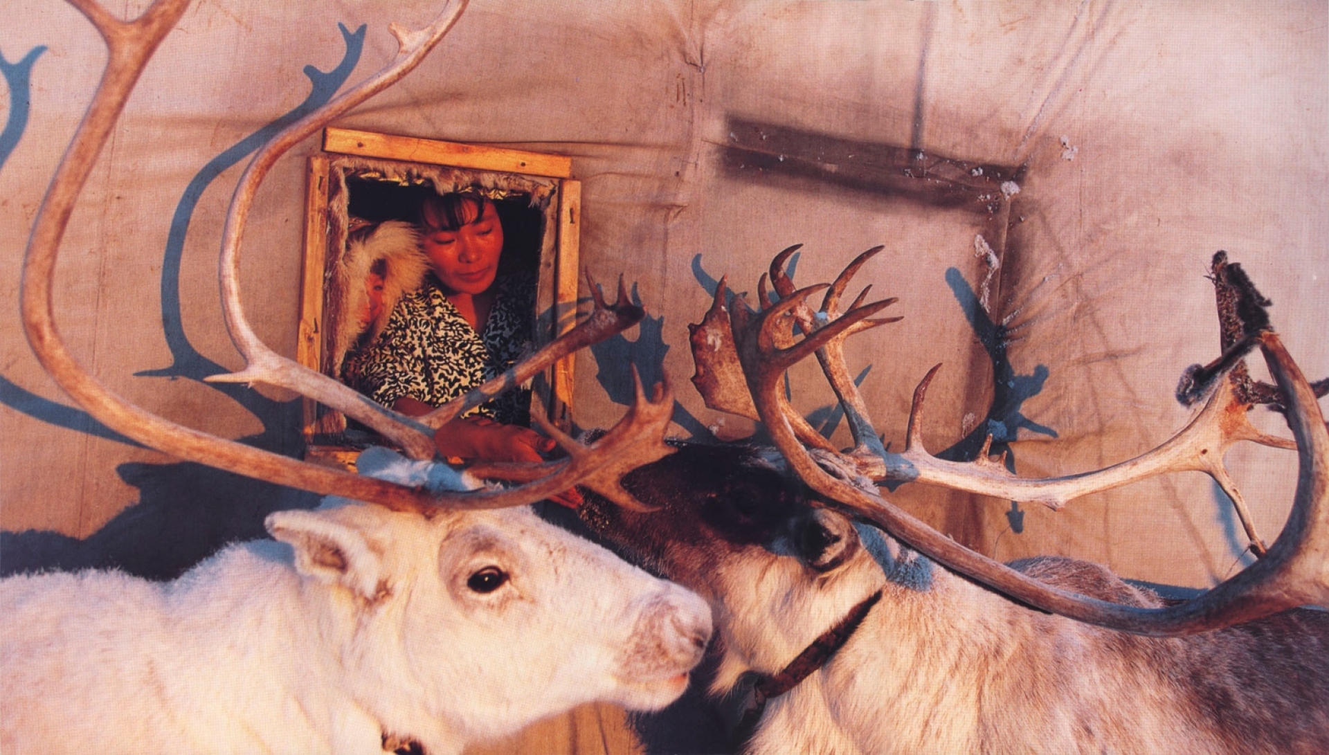 Λευκός Παράδεισος