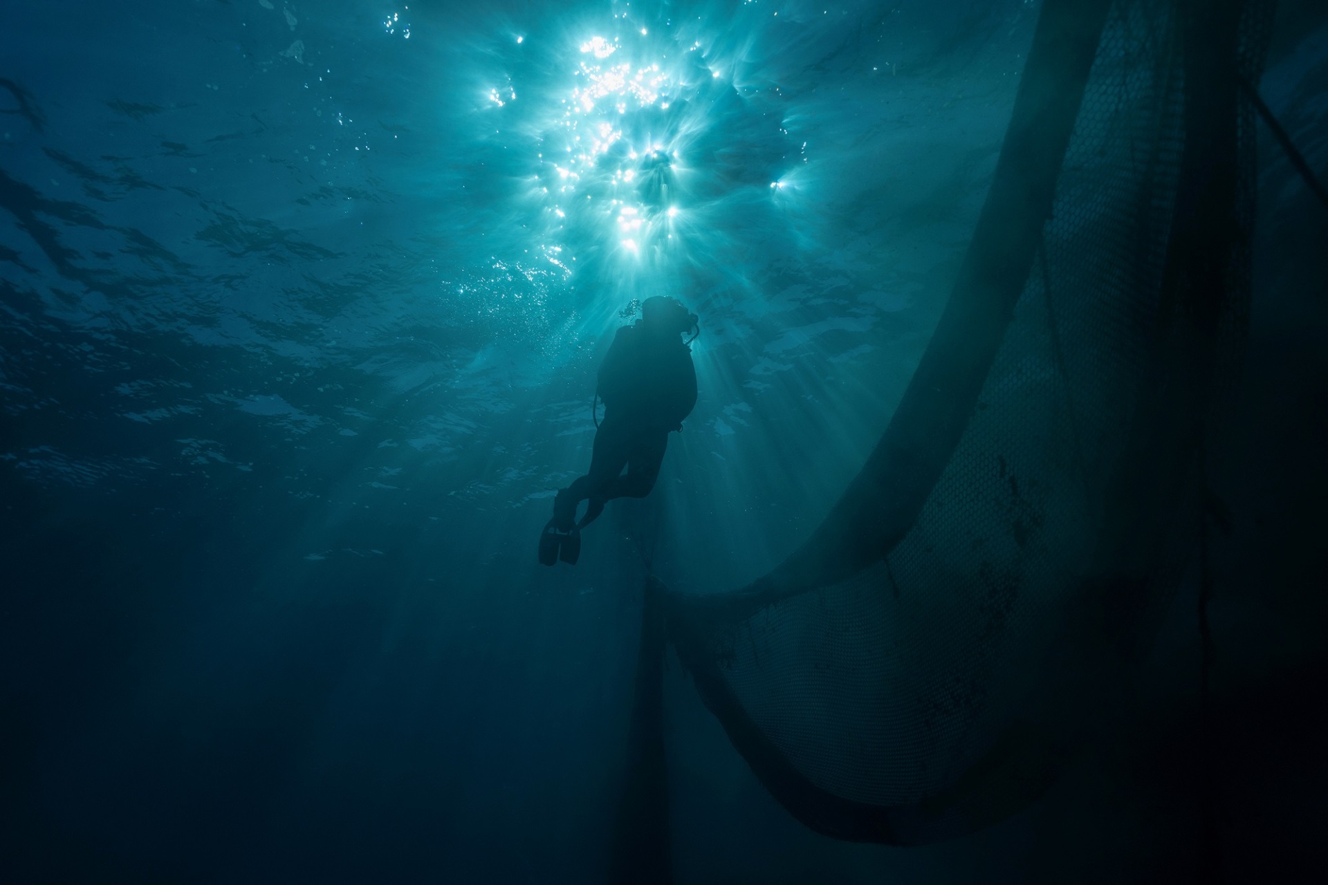 Athens Photo World 2026: Το διεθνές φεστιβάλ φωτορεπορτάζ της Αθήνας επιστρέφει δυναμικά