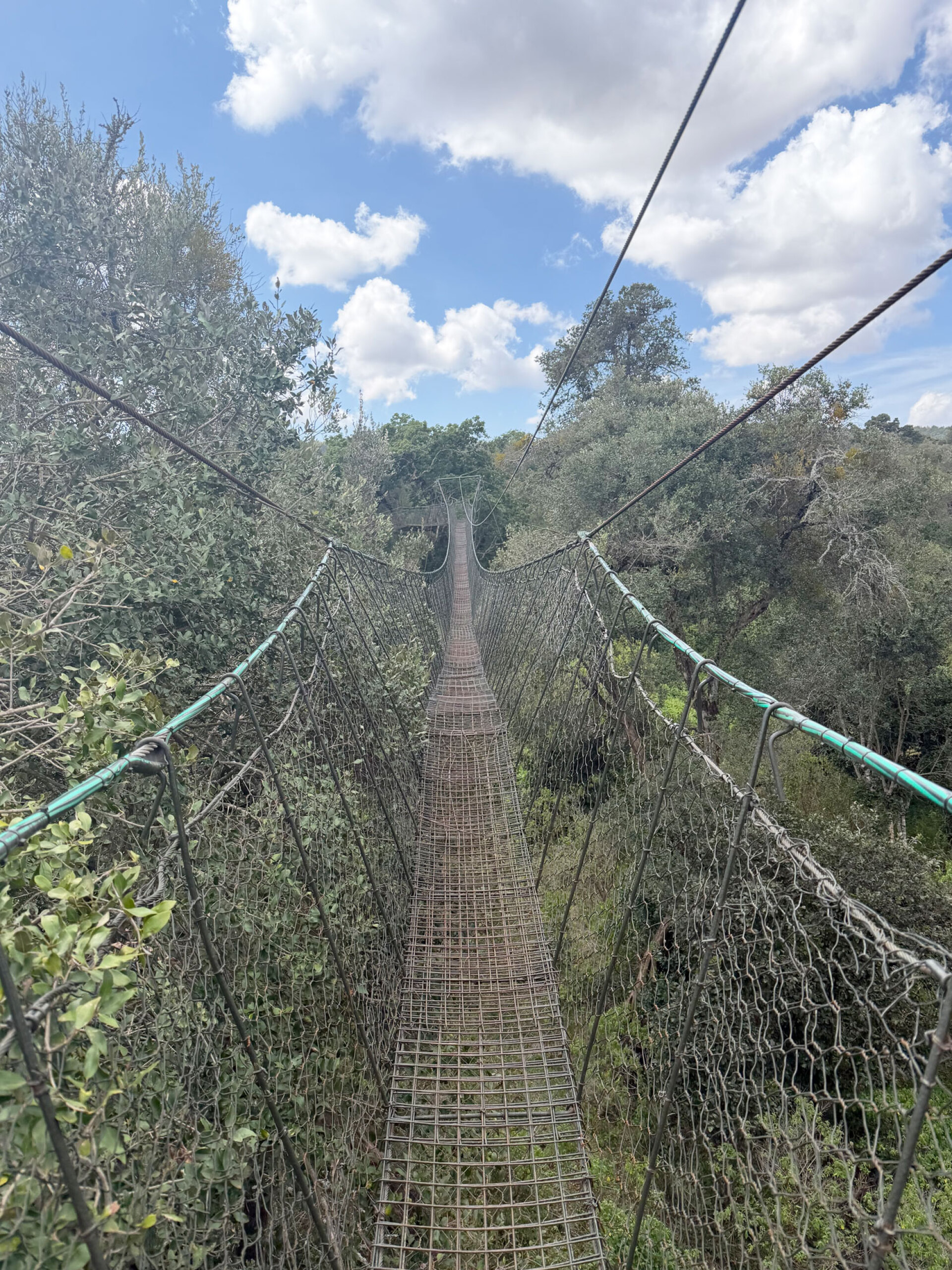 Η γέφυρα στο Νγκάρε Ντάρε