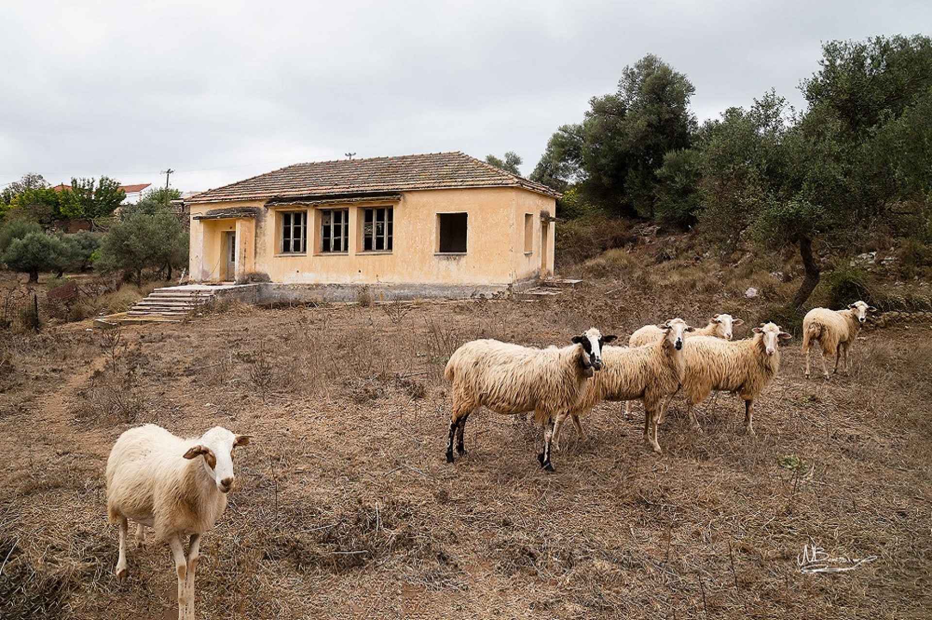 Νίκος Μπασιάς: Από το Βορρά στο Νότο, στα χνάρια της μνήμης