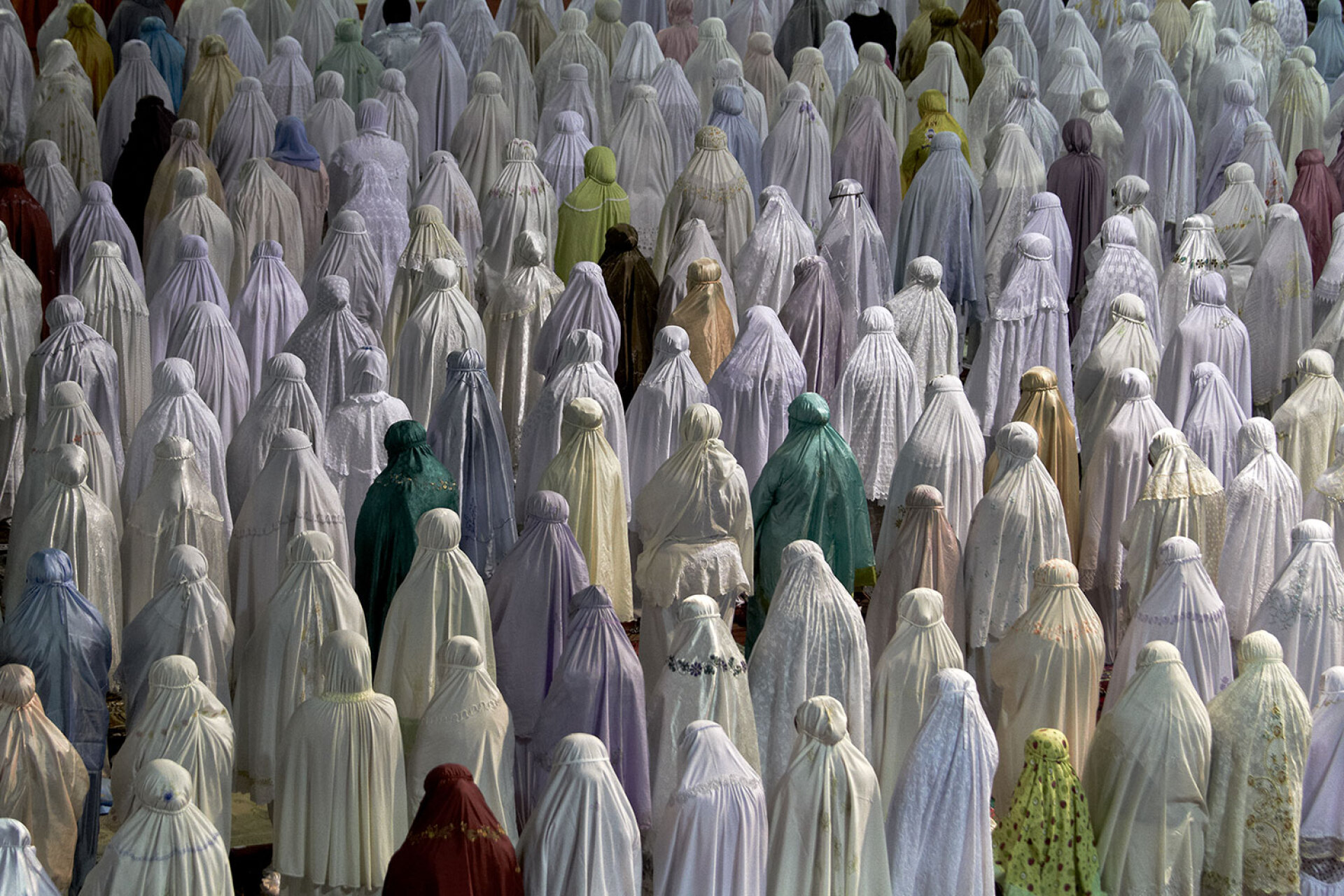 © Αθανάσιος Μαλούκος