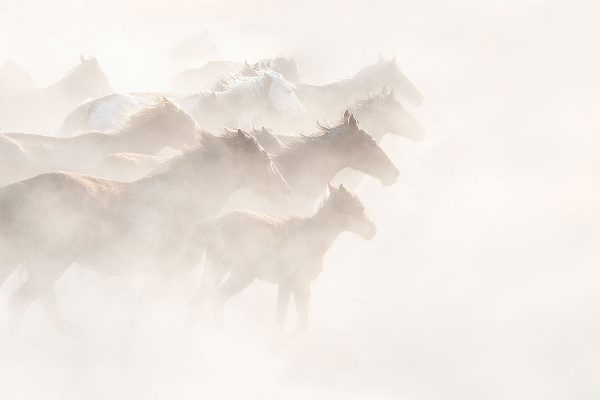 © Αθανάσιος Μαλούκος