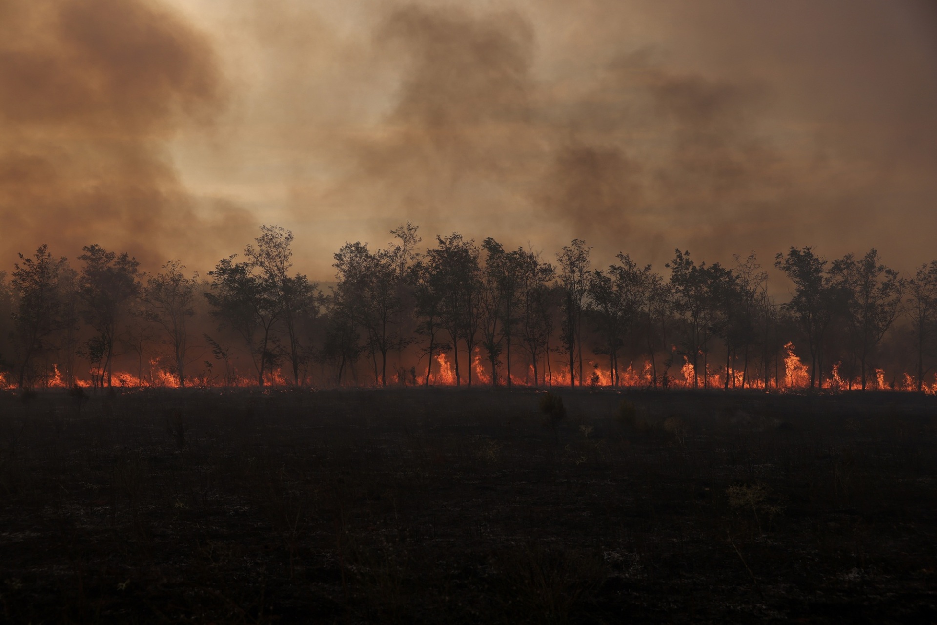 Athens Photo World 2026: Το πρόγραμμα των εκδηλώσεων του φεστιβάλ
