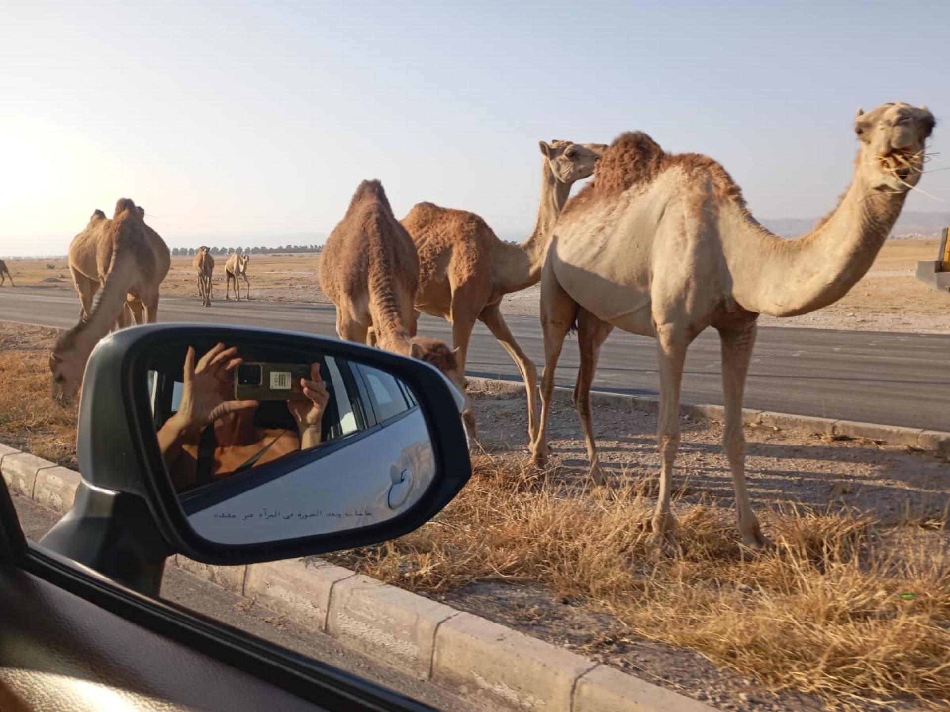 Ομάν και Βηρυτός ως διαφορετικές εκδοχές του αραβικού κόσμου