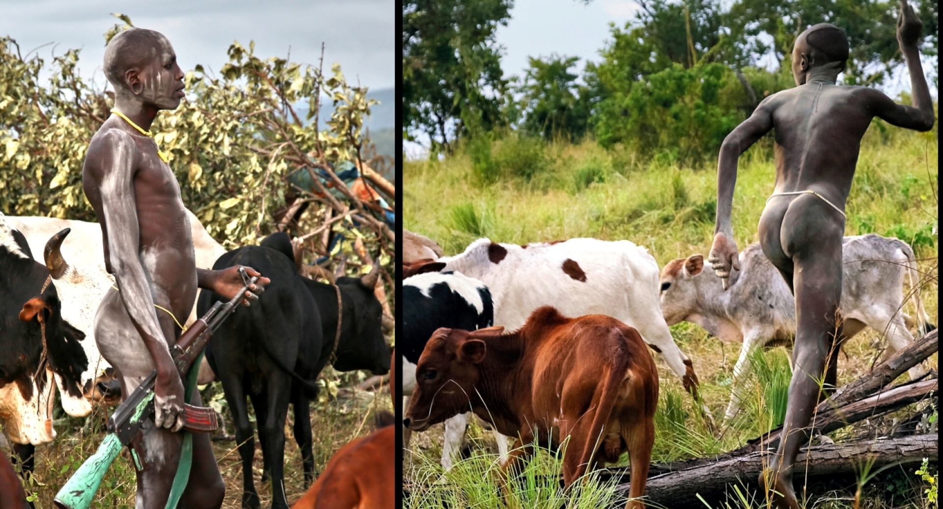 Οι άνδρες που φυλάνε τα βοοειδή είναι οπλισμένοι με όπλα ενάντια σε επιθέσεις από γειτονικές φυλές