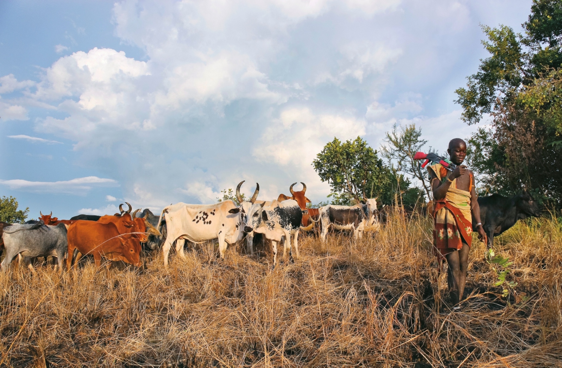 Οι νεαροί πολεμιστές συχνά περνούν πολλές εβδομάδες ή και μήνες μακριά από το χωριό με τα κοπάδια τους. 