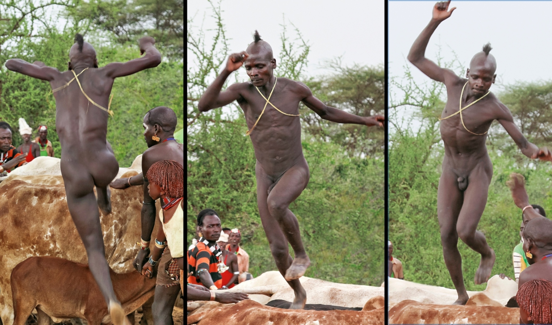 Φυλή των Hamer - Η τελετή του Άλματος του Ταύρου 