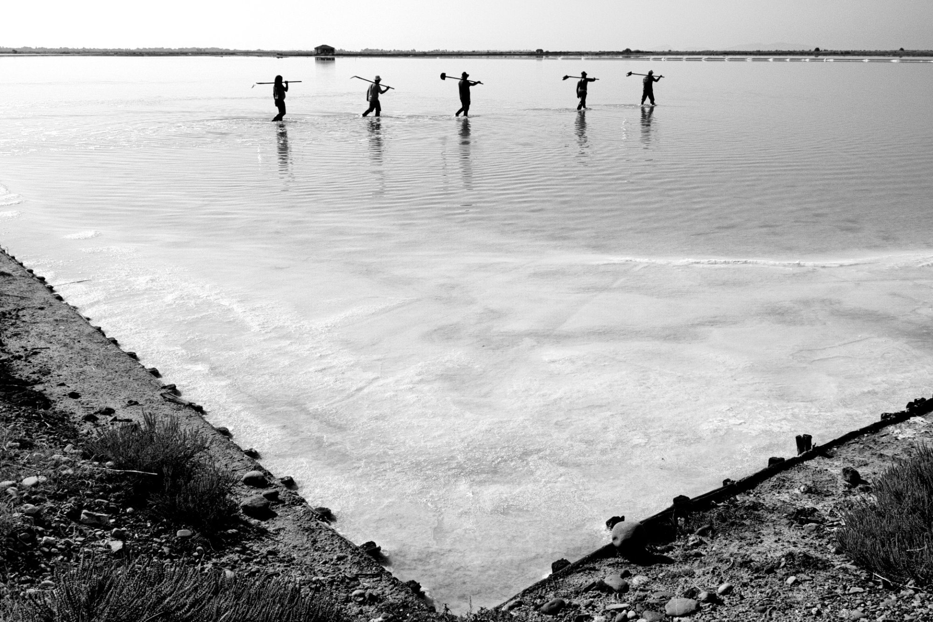 © Βασίλης Αρτίκος