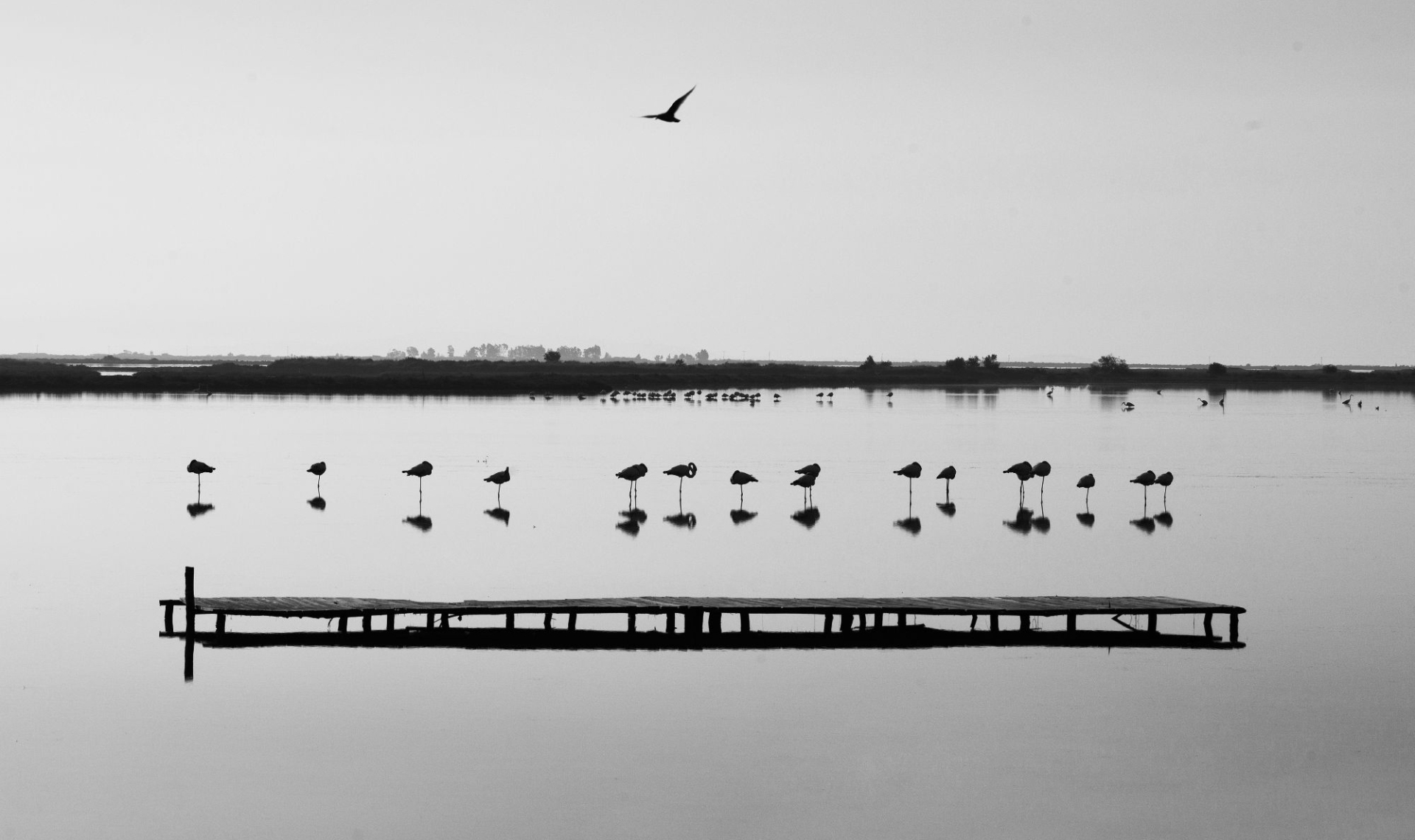 © Βασίλης Αρτίκος