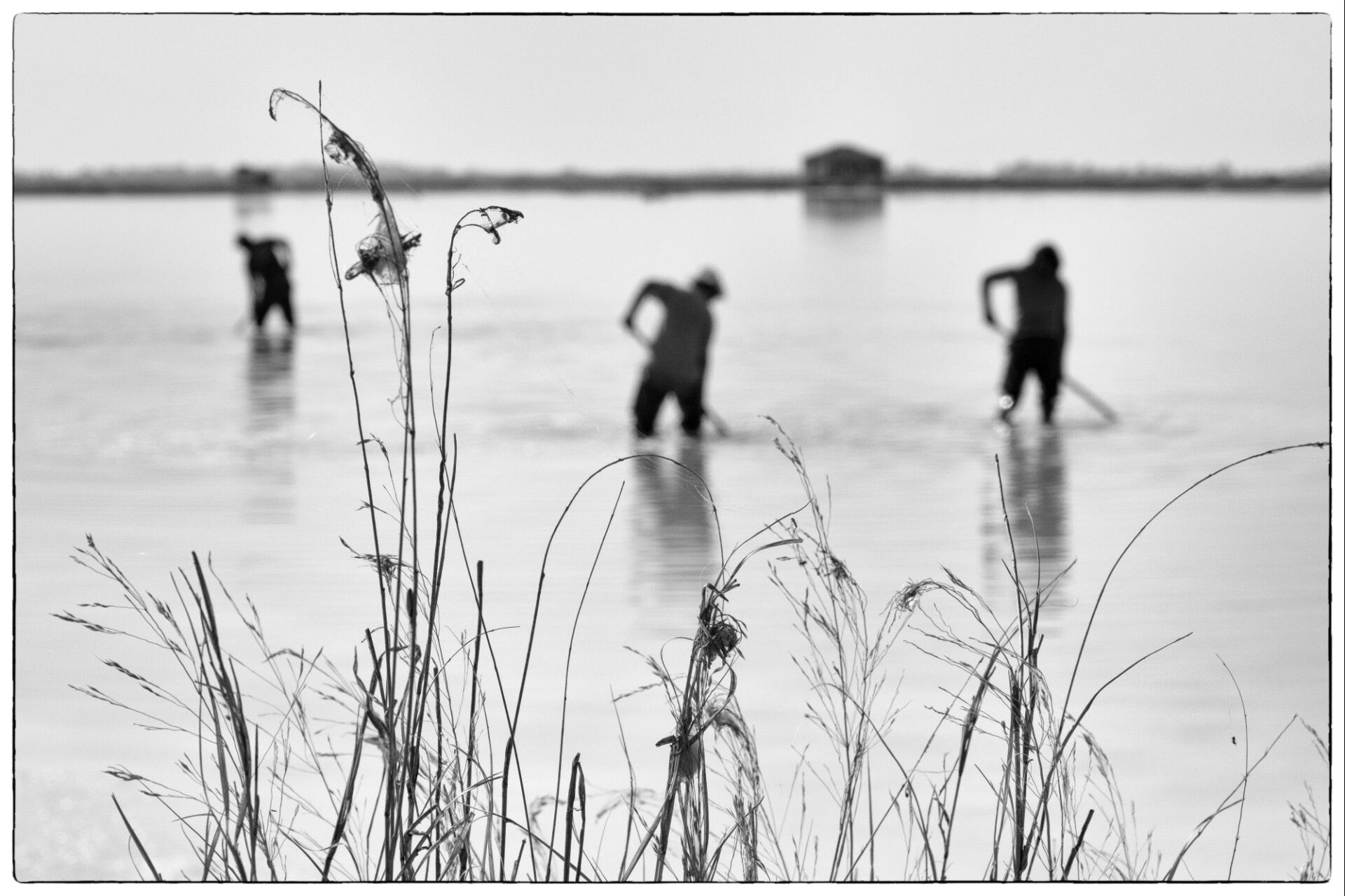 © Βασίλης Αρτίκος