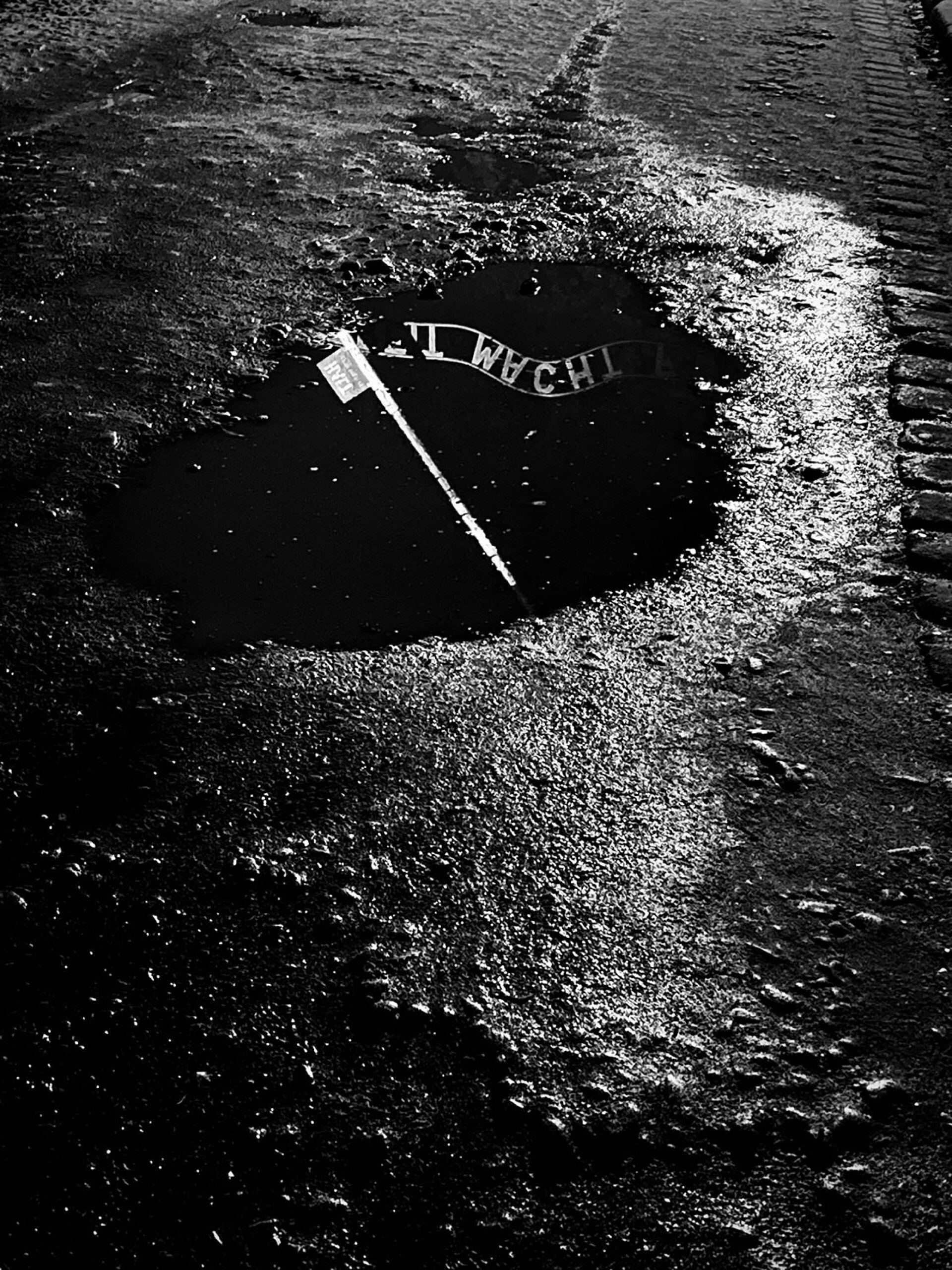 Ρενέ Ρεβάχ - Νίκος Μεγγρέλης | Ντοκιμαντέρ «Πες μου»