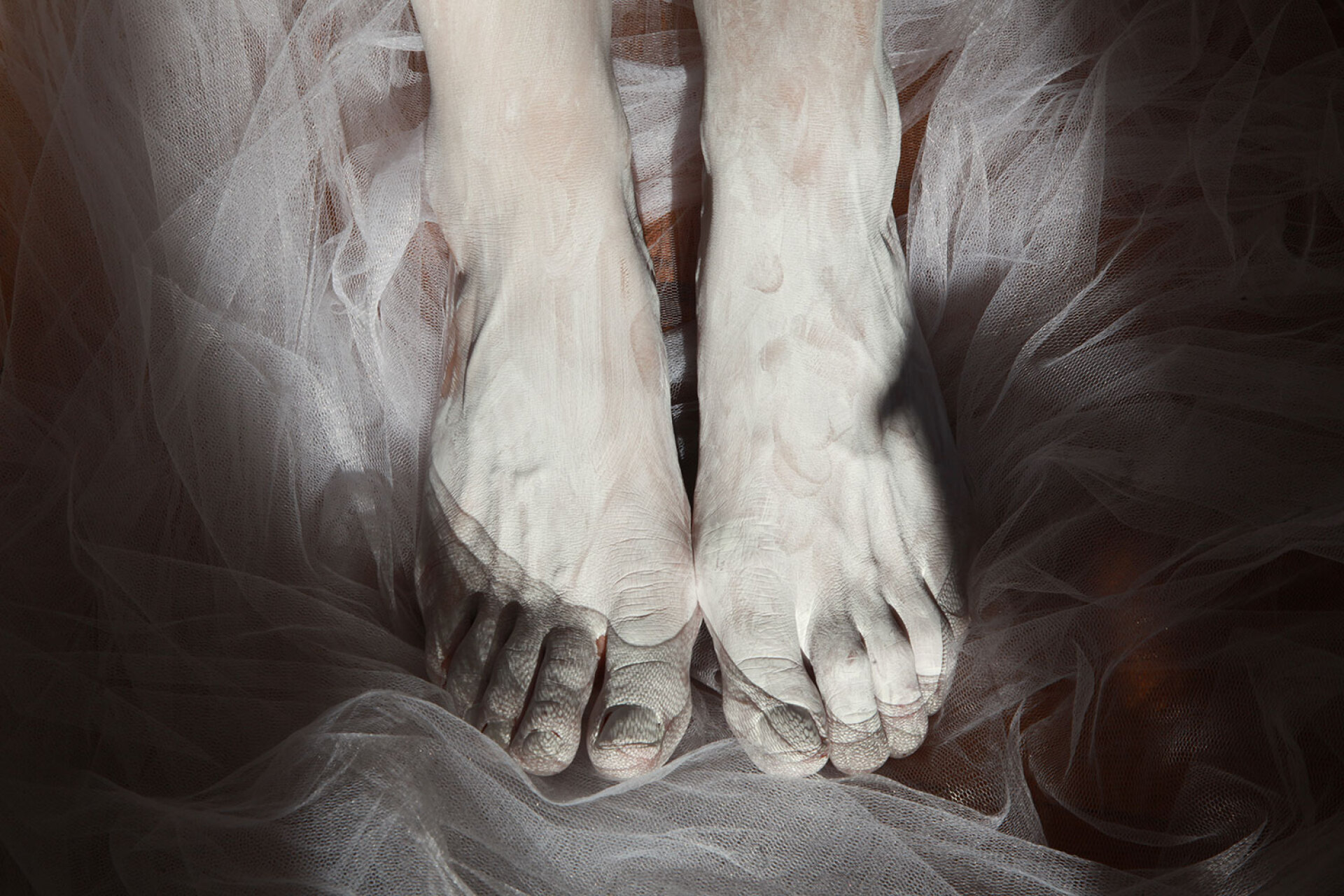 Juxtaposition στην iFocus Photo Gallery