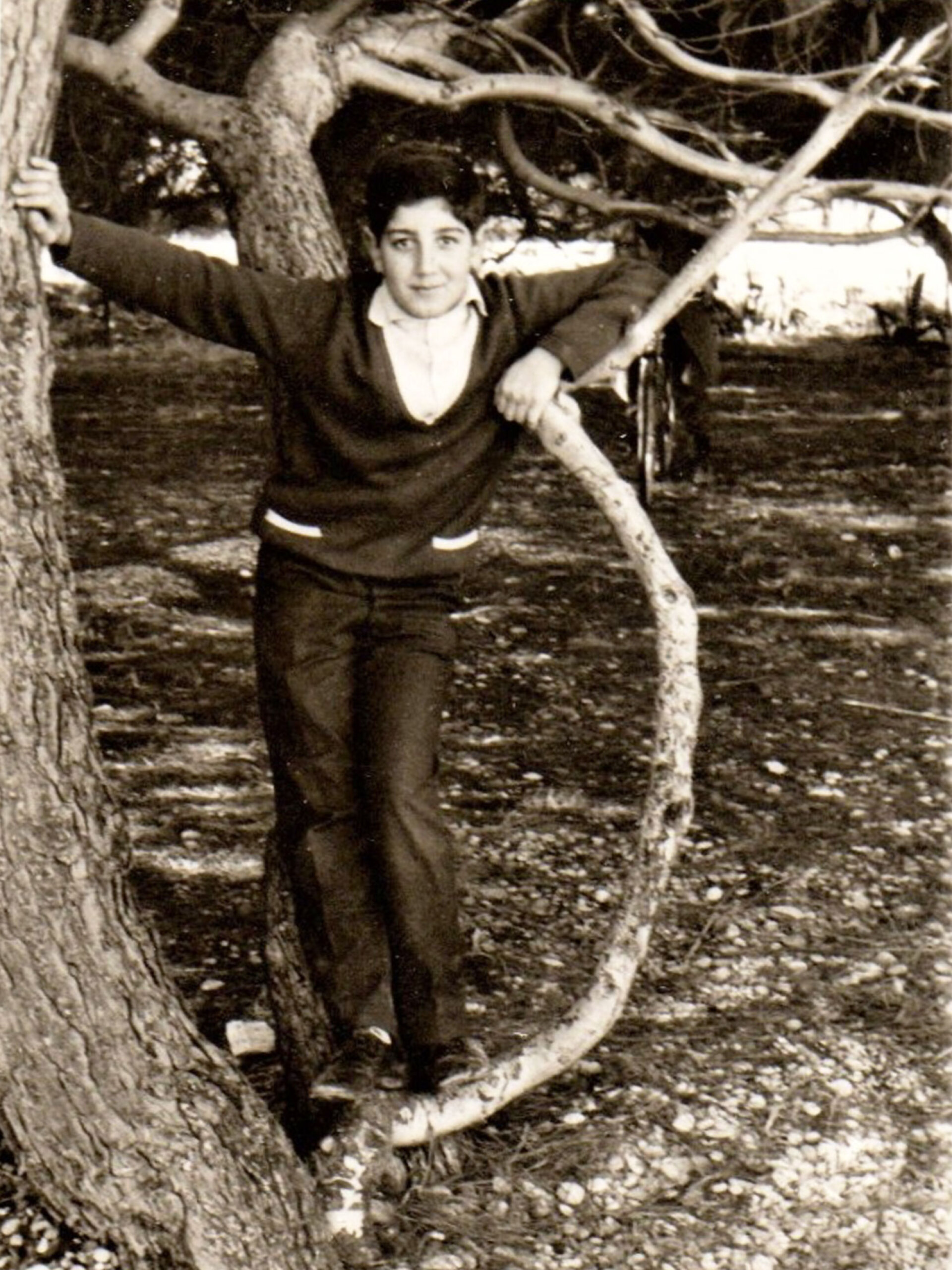 Άγγελος Παπαδημητρίου, 1962