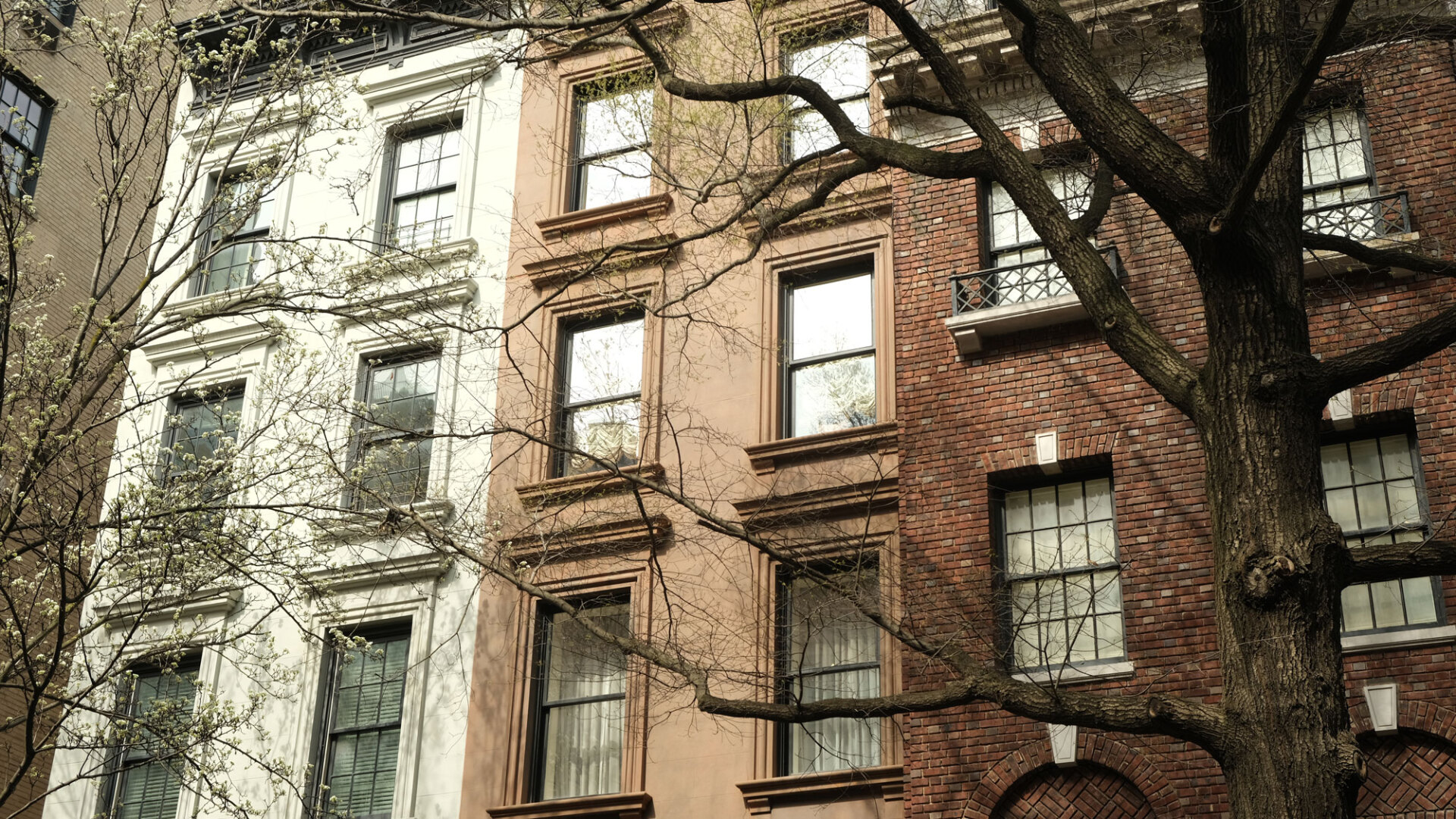 Η άνοιξη κάνει δειλά την εμφάνιση της στο Μανχάταν