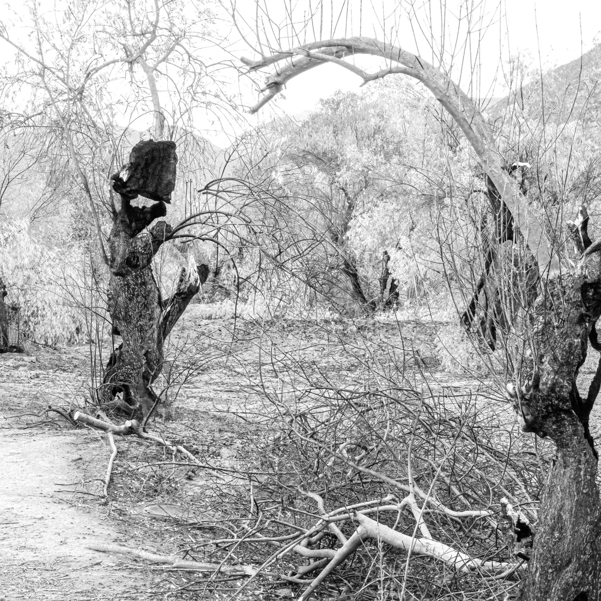 Θάνος Τσάκαλος: Ήθελα να δώσω φωνή στη σιωπή